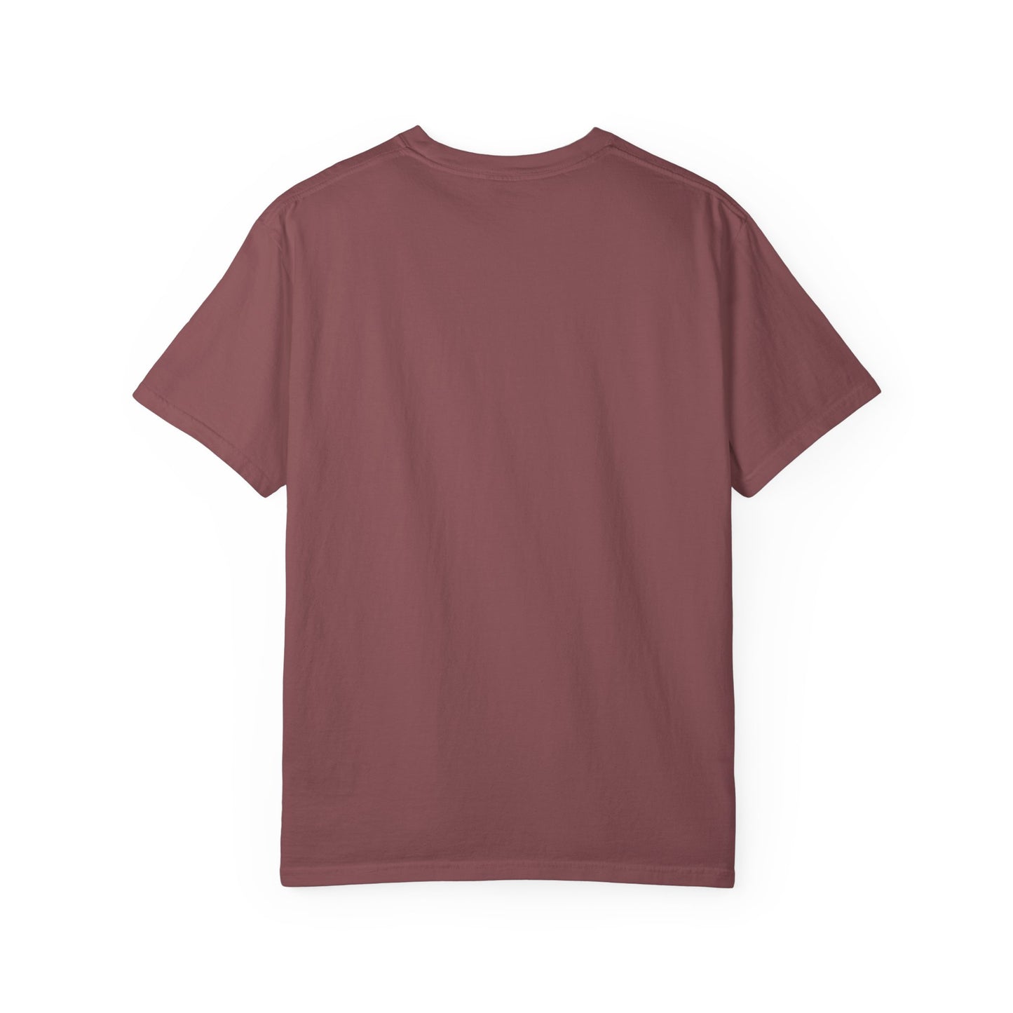 Agent Quacks Series Unisex T-shirt - Assassin Xavier Design