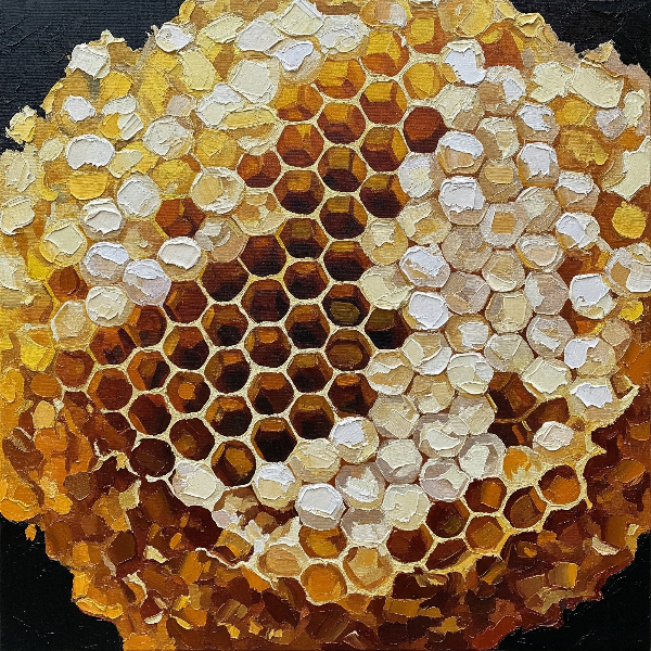 Inside the Hive How Bees Make Honey Audiobook