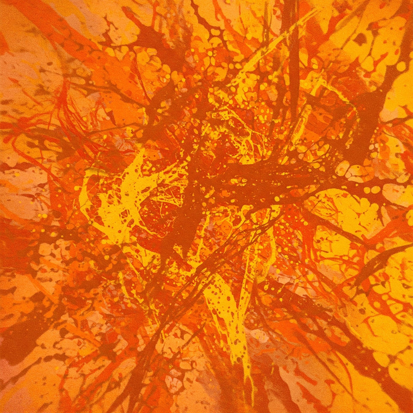 Splatter Collection of 100