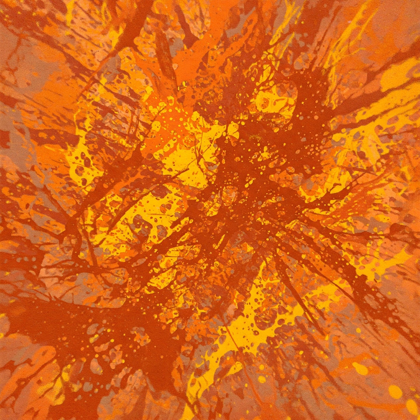 Splatter Collection of 100