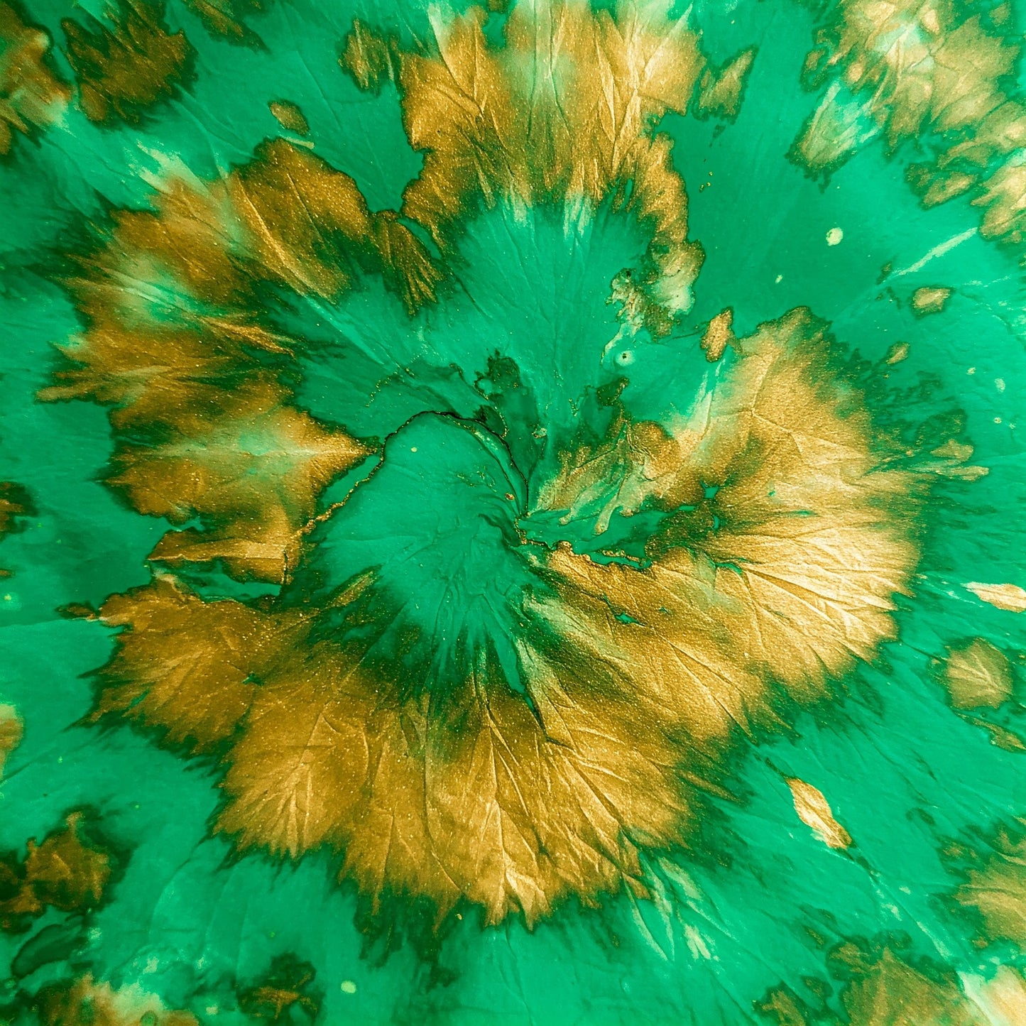 Tiy Dye Collection of 100