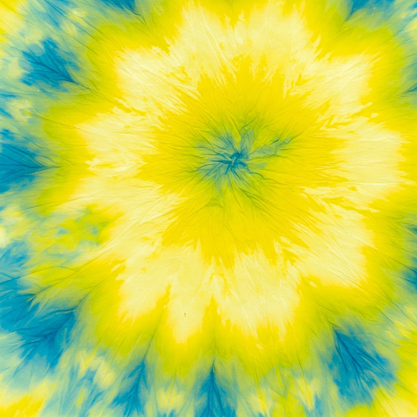 Tiy Dye Collection of 100