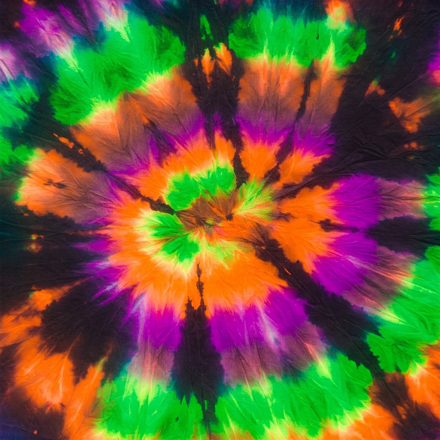 Tiy Dye Collection of 100