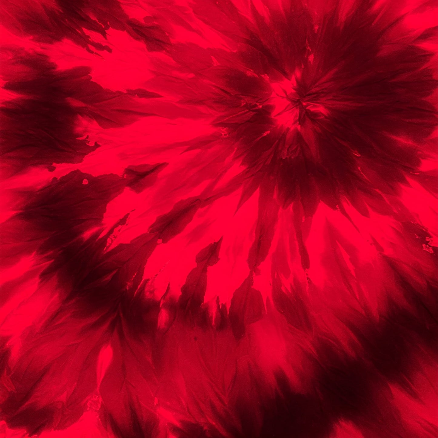 Tiy Dye Collection of 100