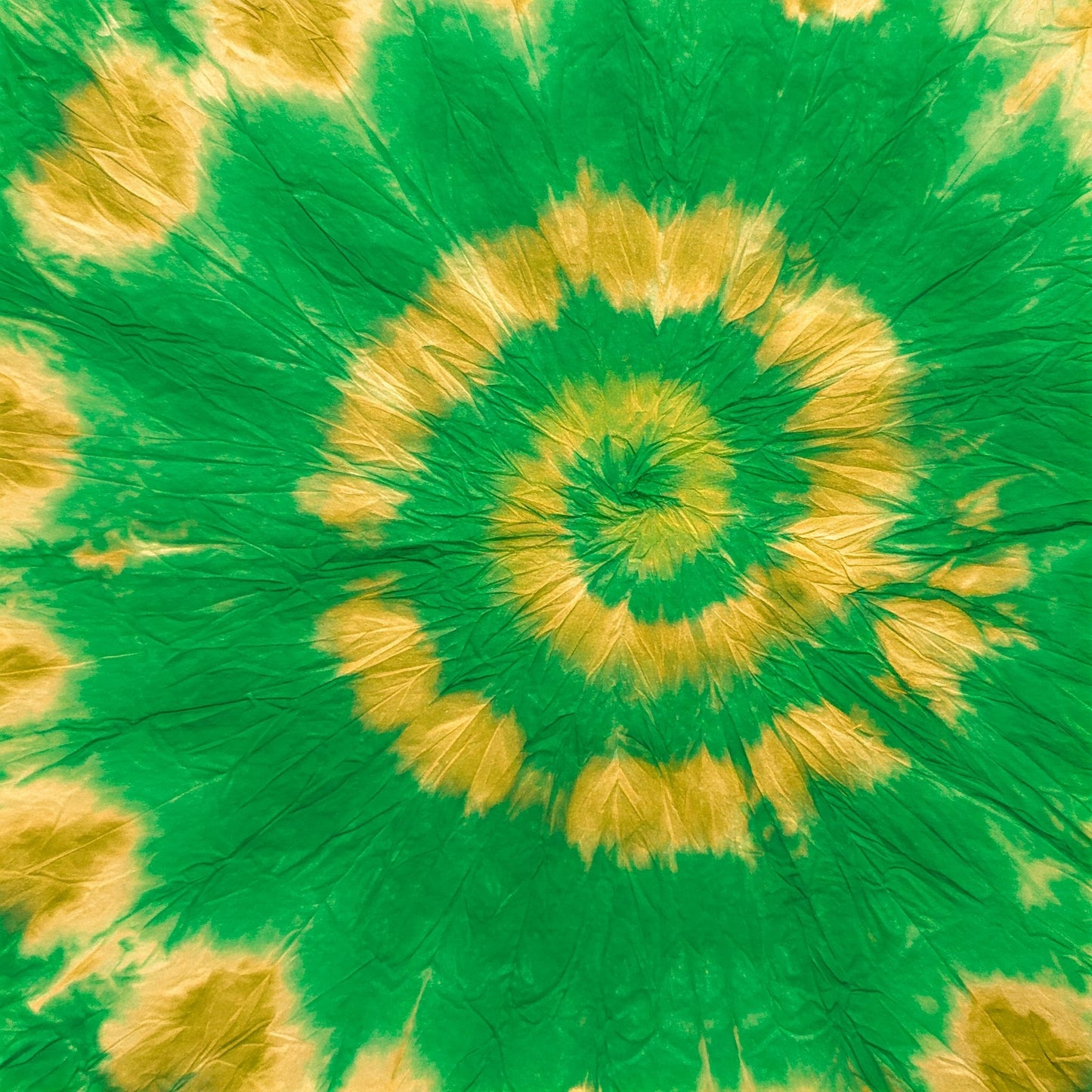 Tiy Dye Collection of 100