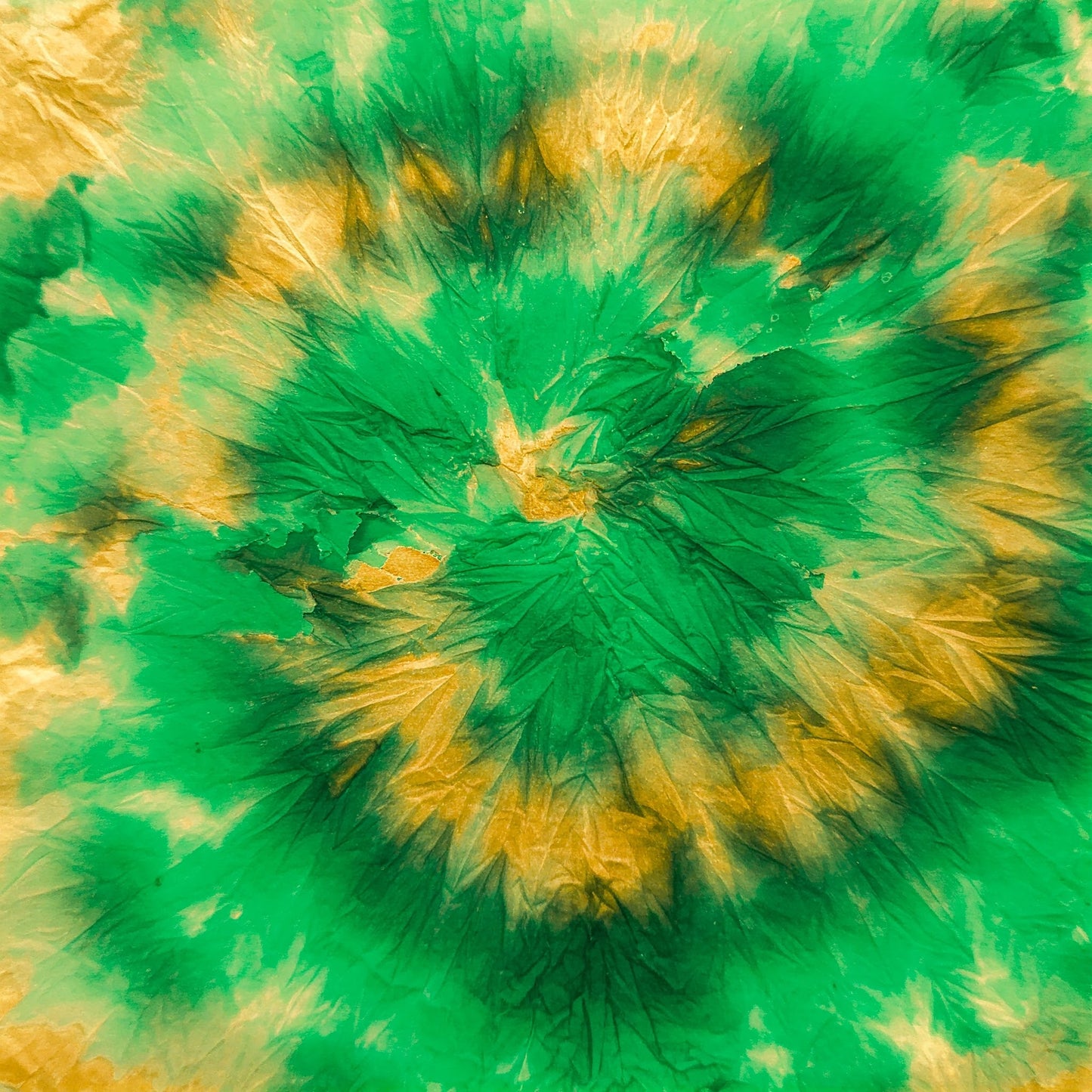 Tiy Dye Collection of 100