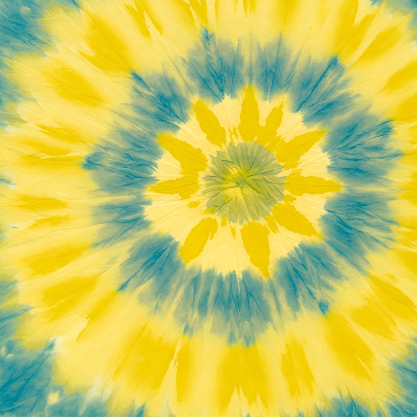 Tiy Dye Collection of 100