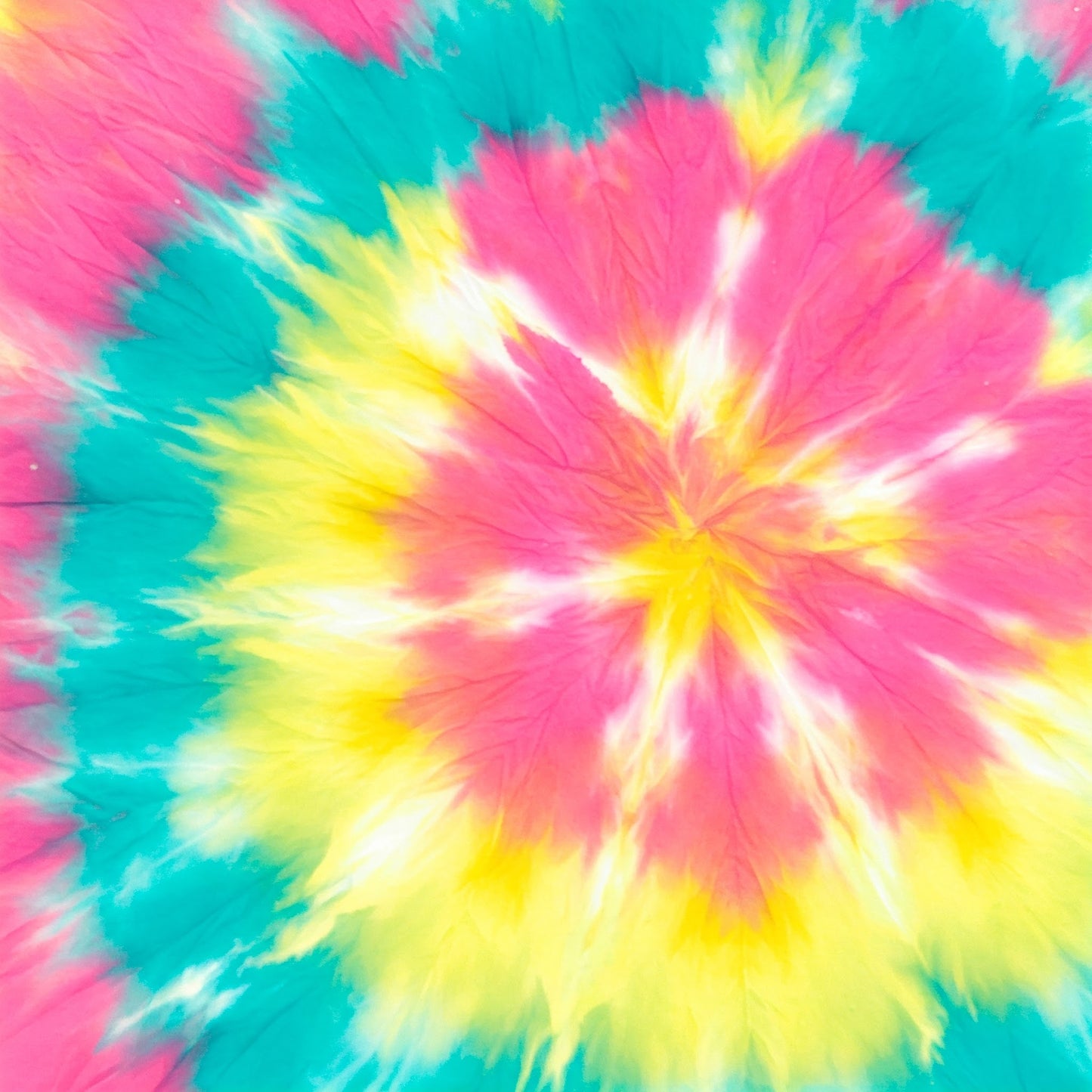 Tiy Dye Collection of 100