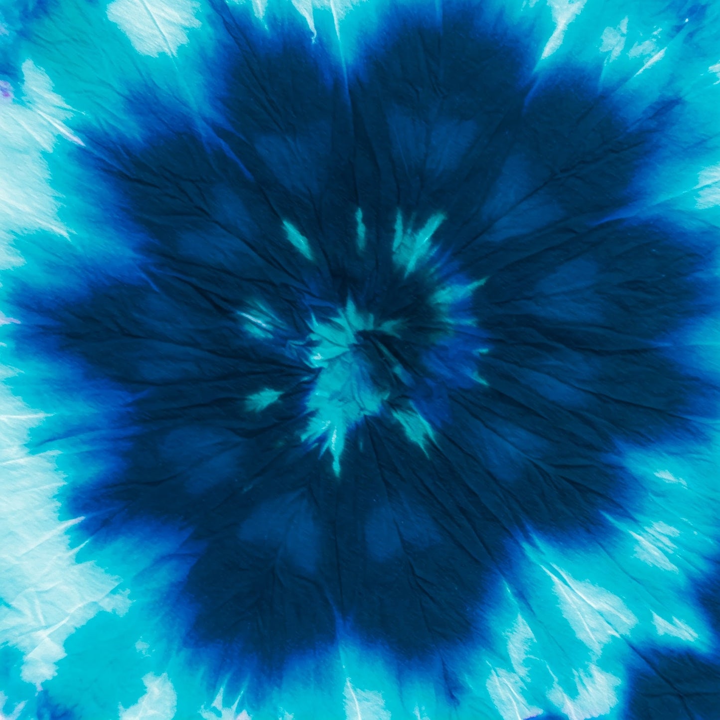 Tiy Dye Collection of 100