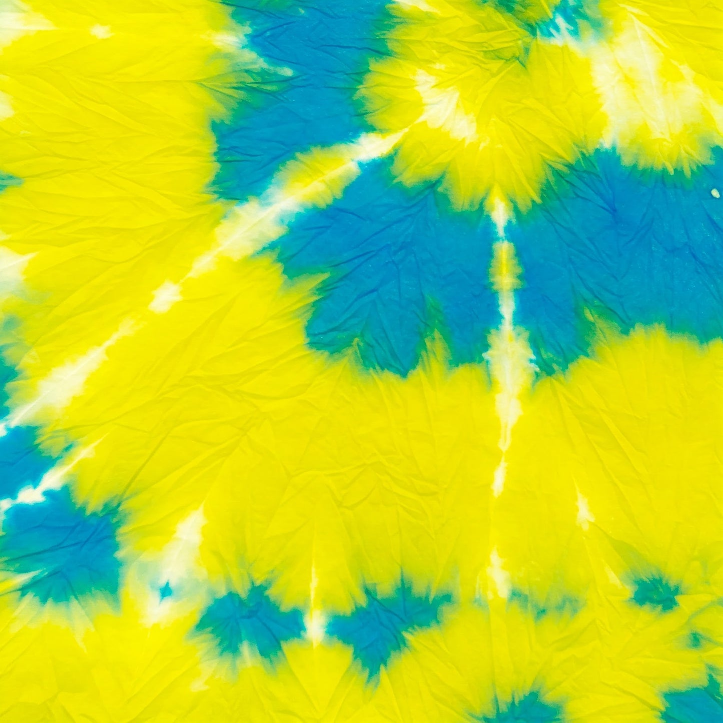 Tiy Dye Collection of 100