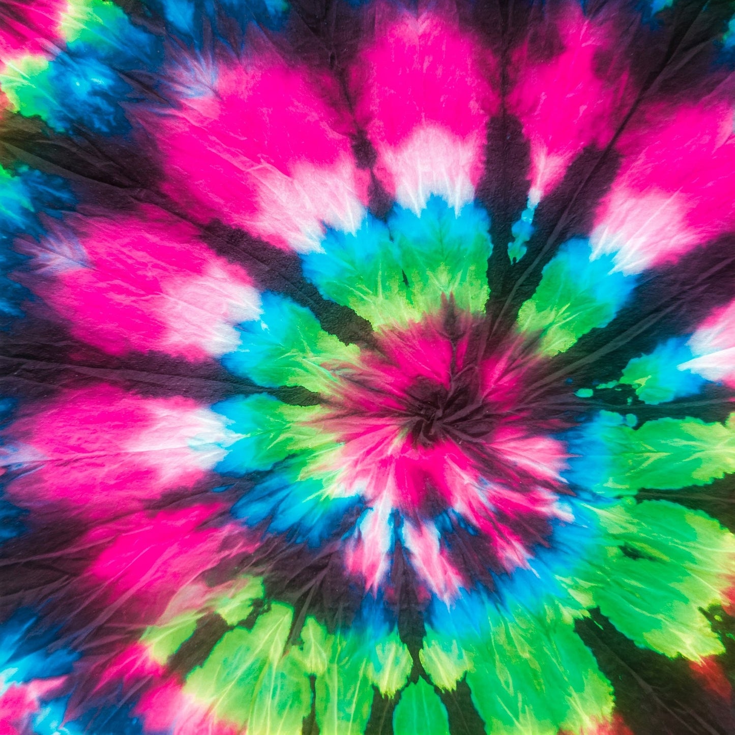 Tiy Dye Collection of 100
