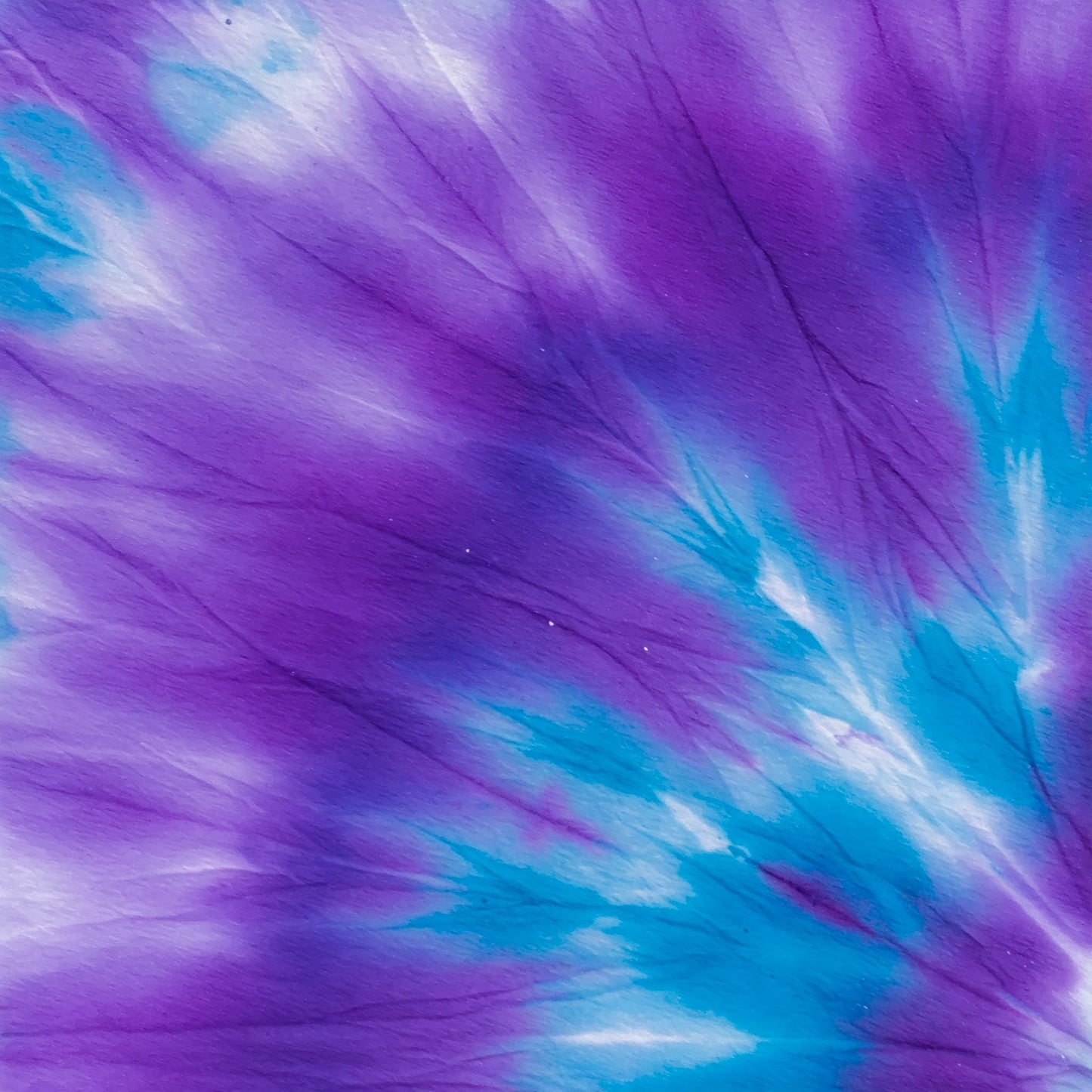 Tiy Dye Collection of 100