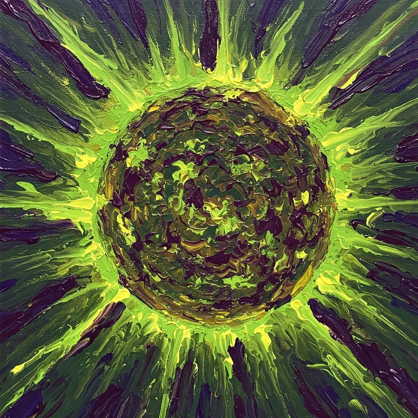 Sun Collection of 49