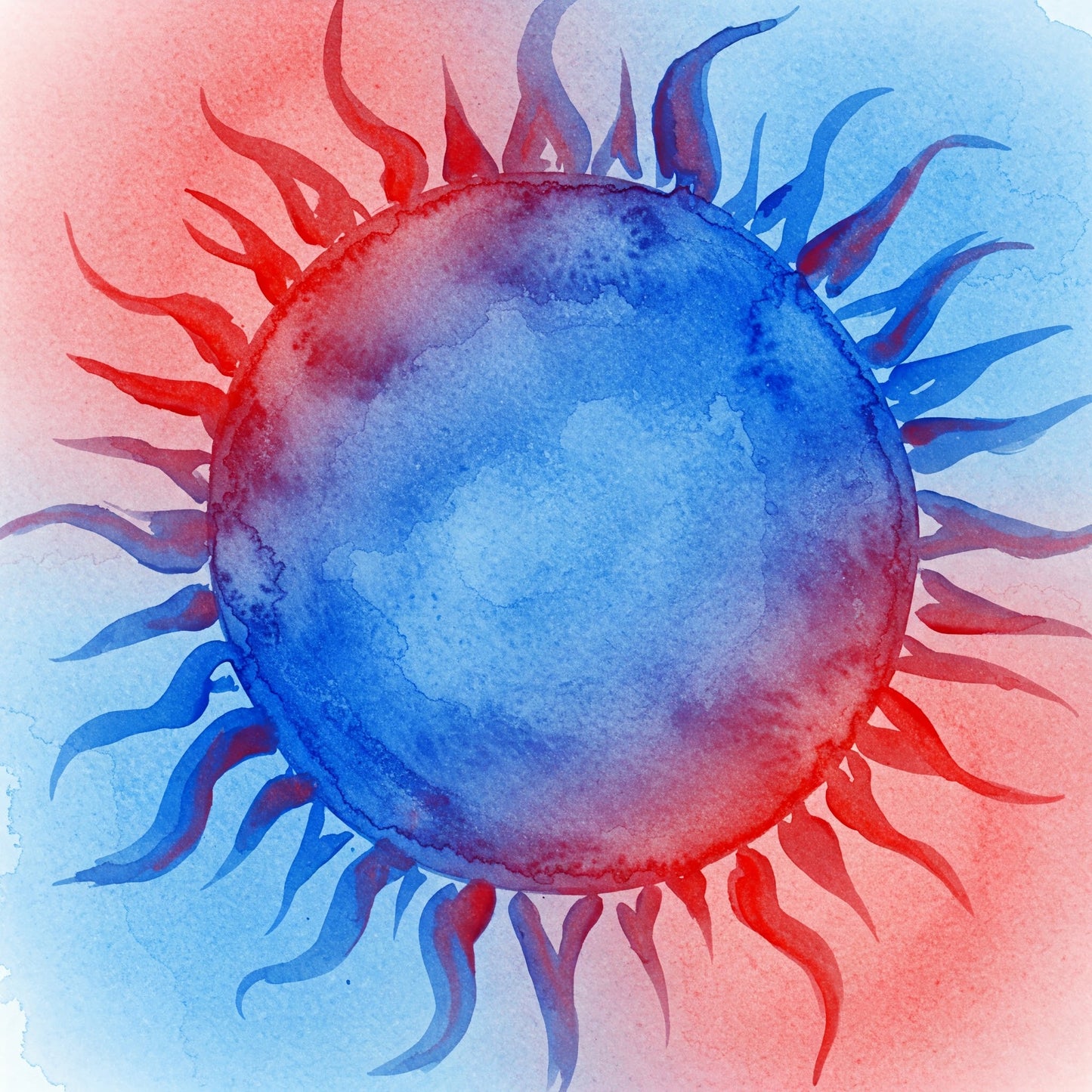 Sun Collection of 49