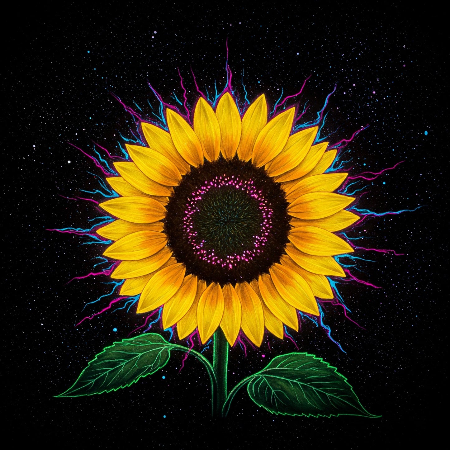Sunflower Collection of 100