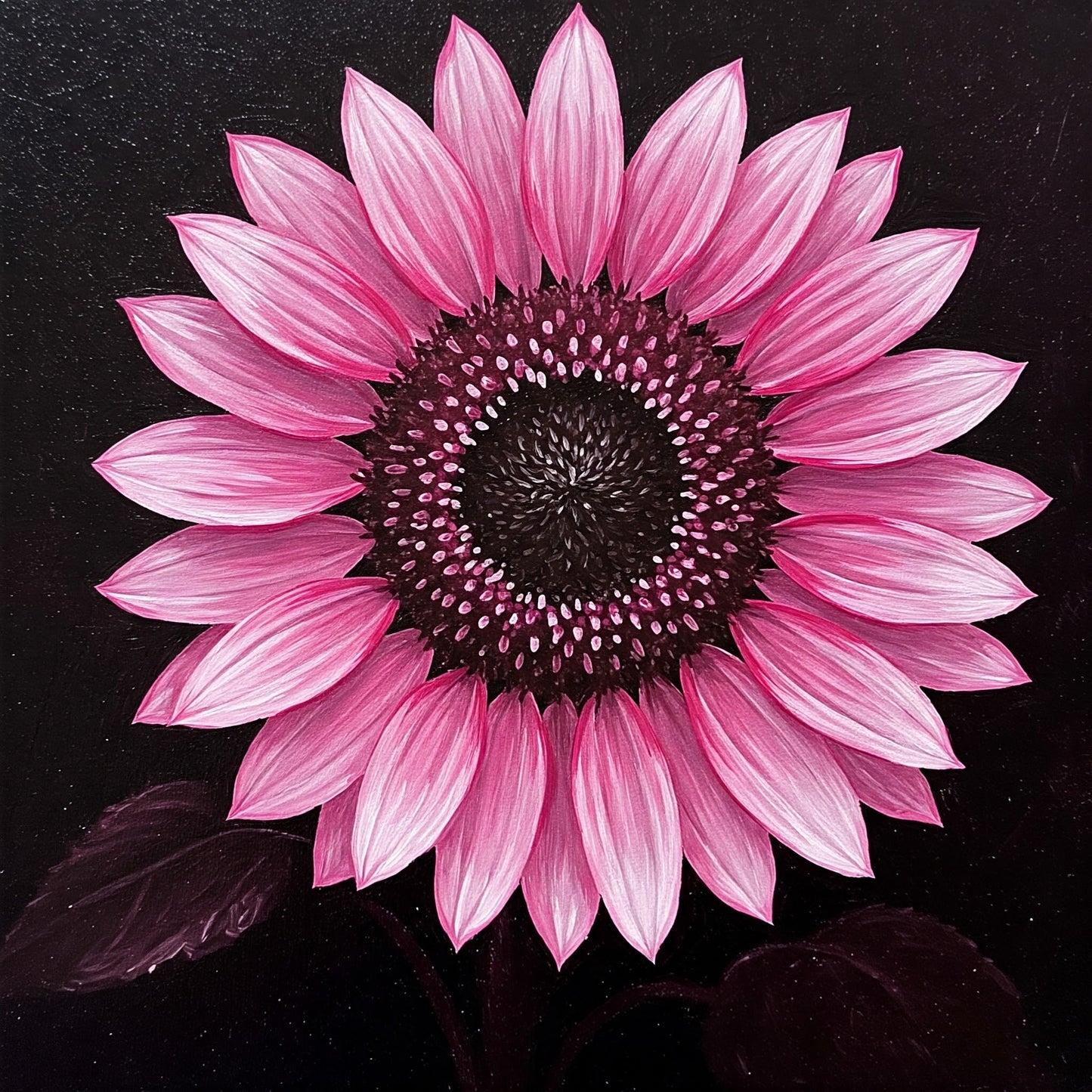 Sunflower Collection of 100