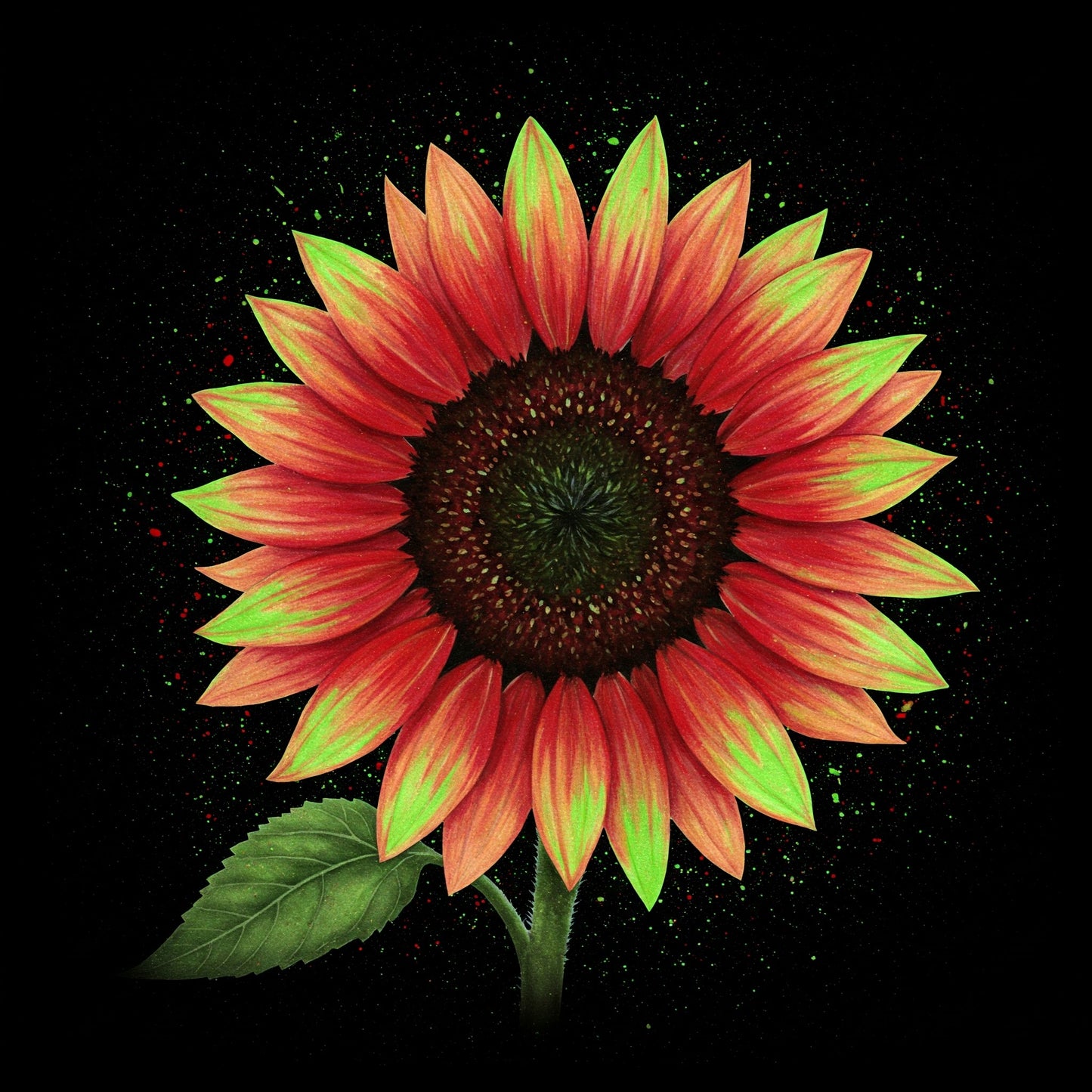 Sunflower Collection of 100