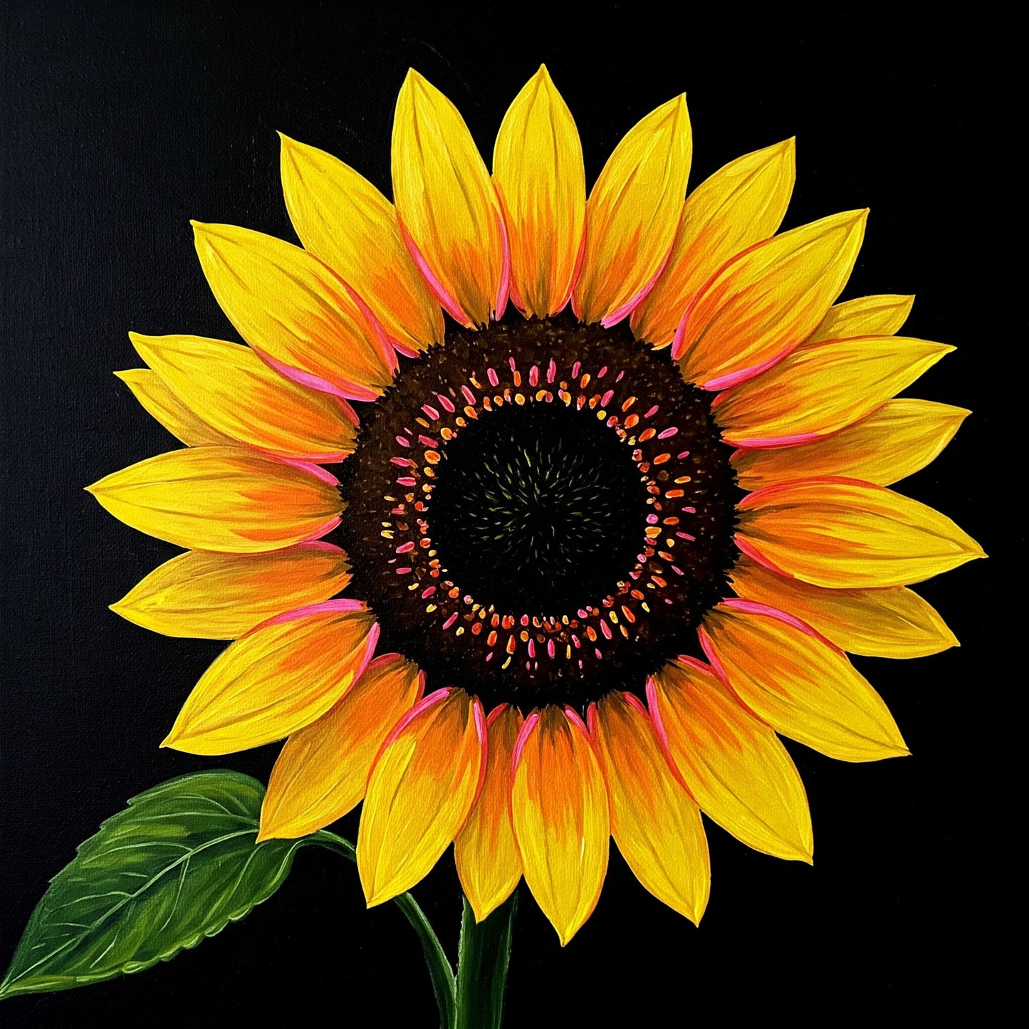 Sunflower Collection of 100