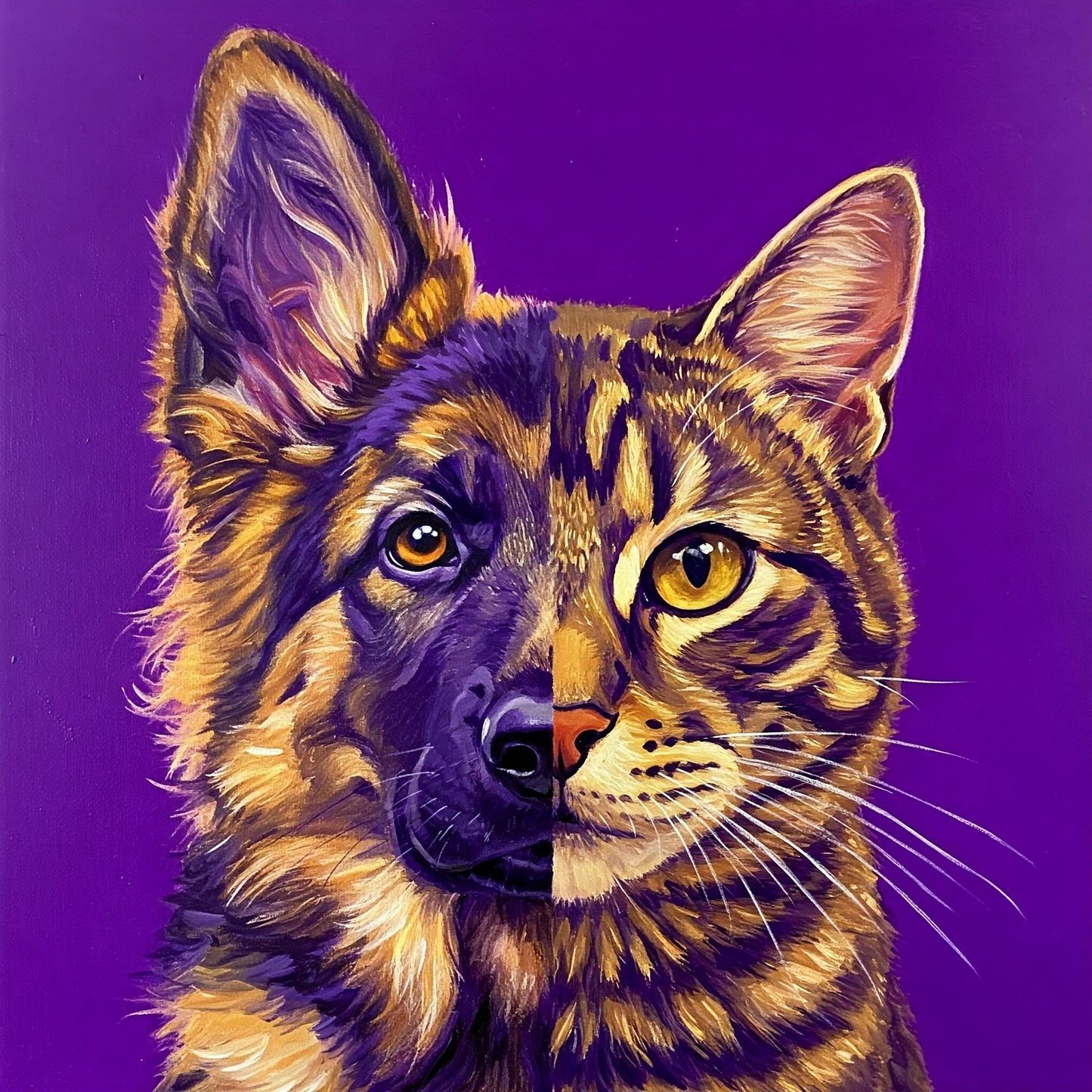 Dog and Cat Collection of 100