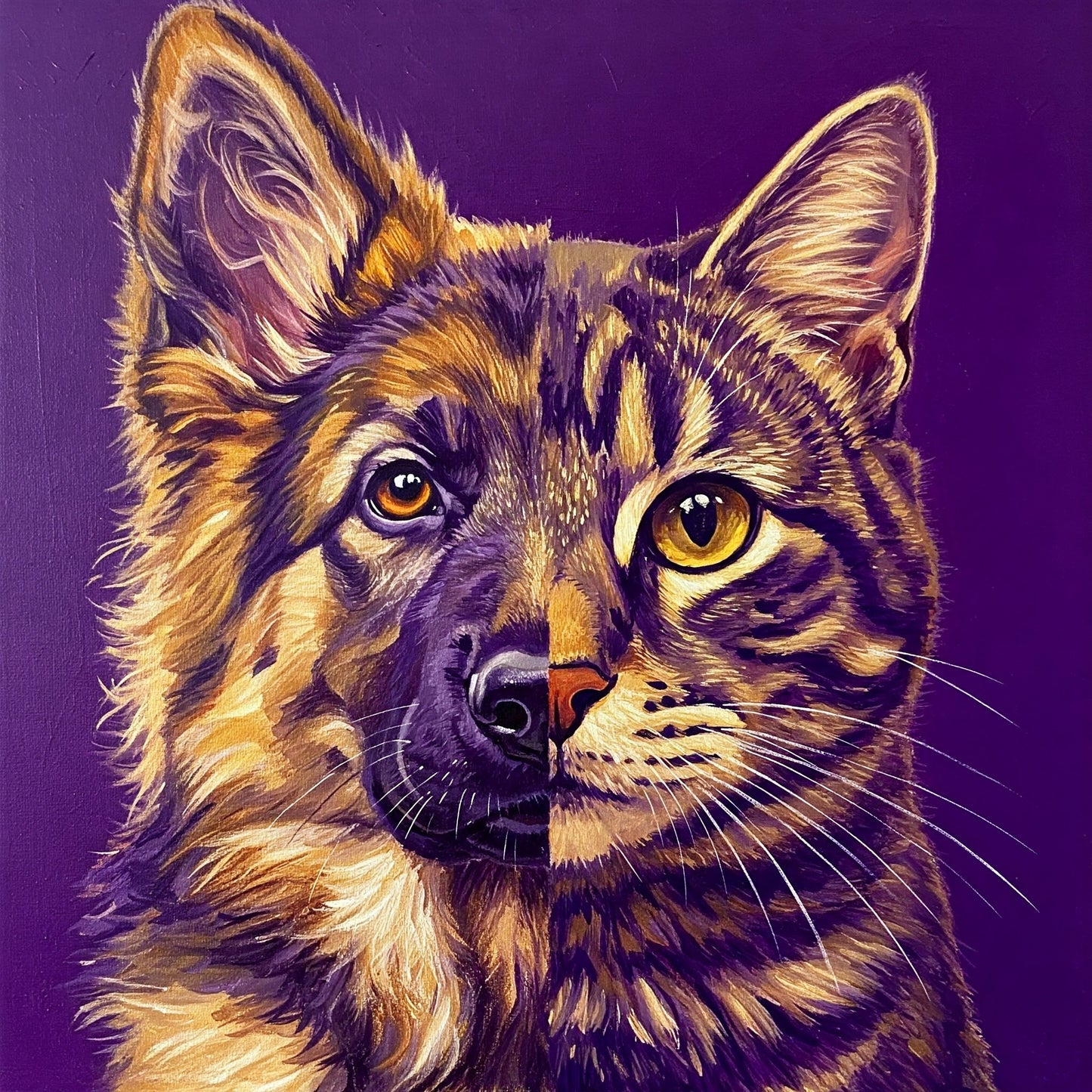 Dog and Cat Collection of 100