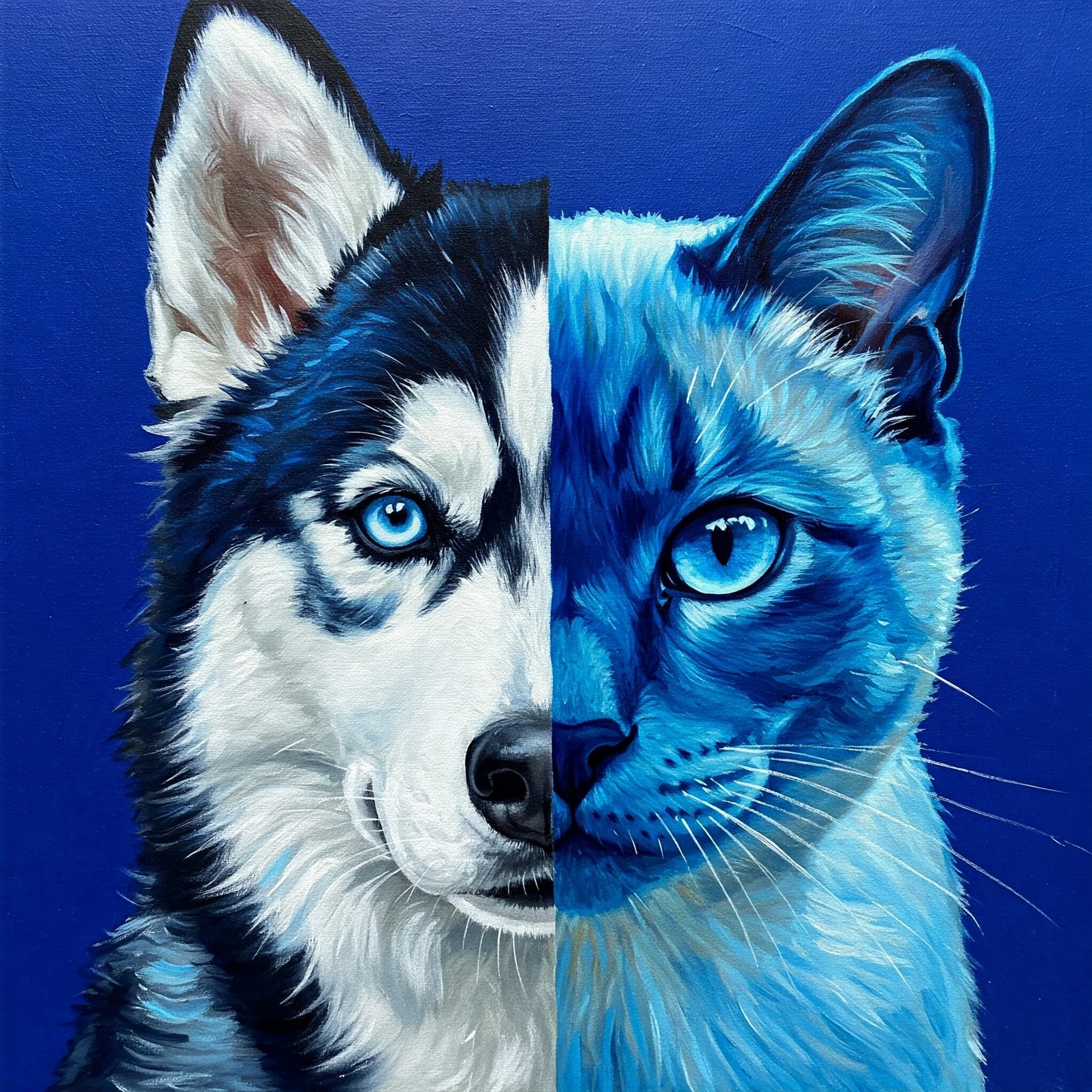 Dog and Cat Collection of 100