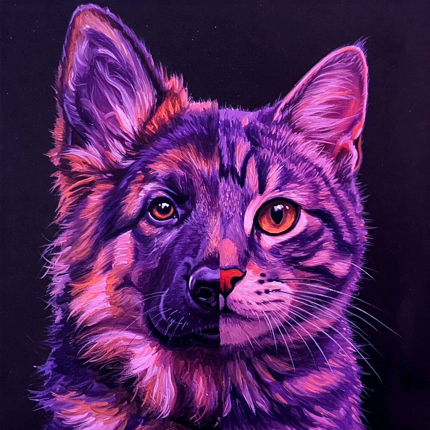 Dog and Cat Collection of 100