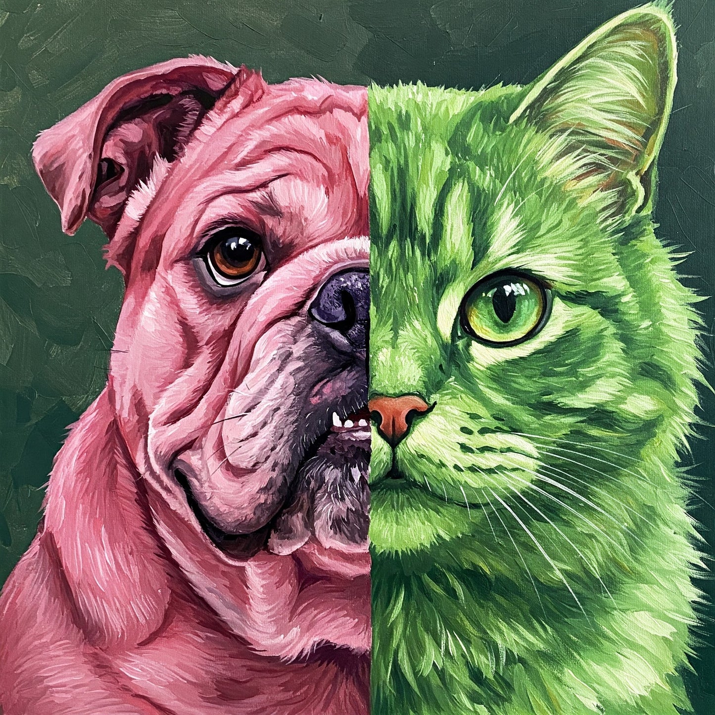Dog and Cat Collection of 100
