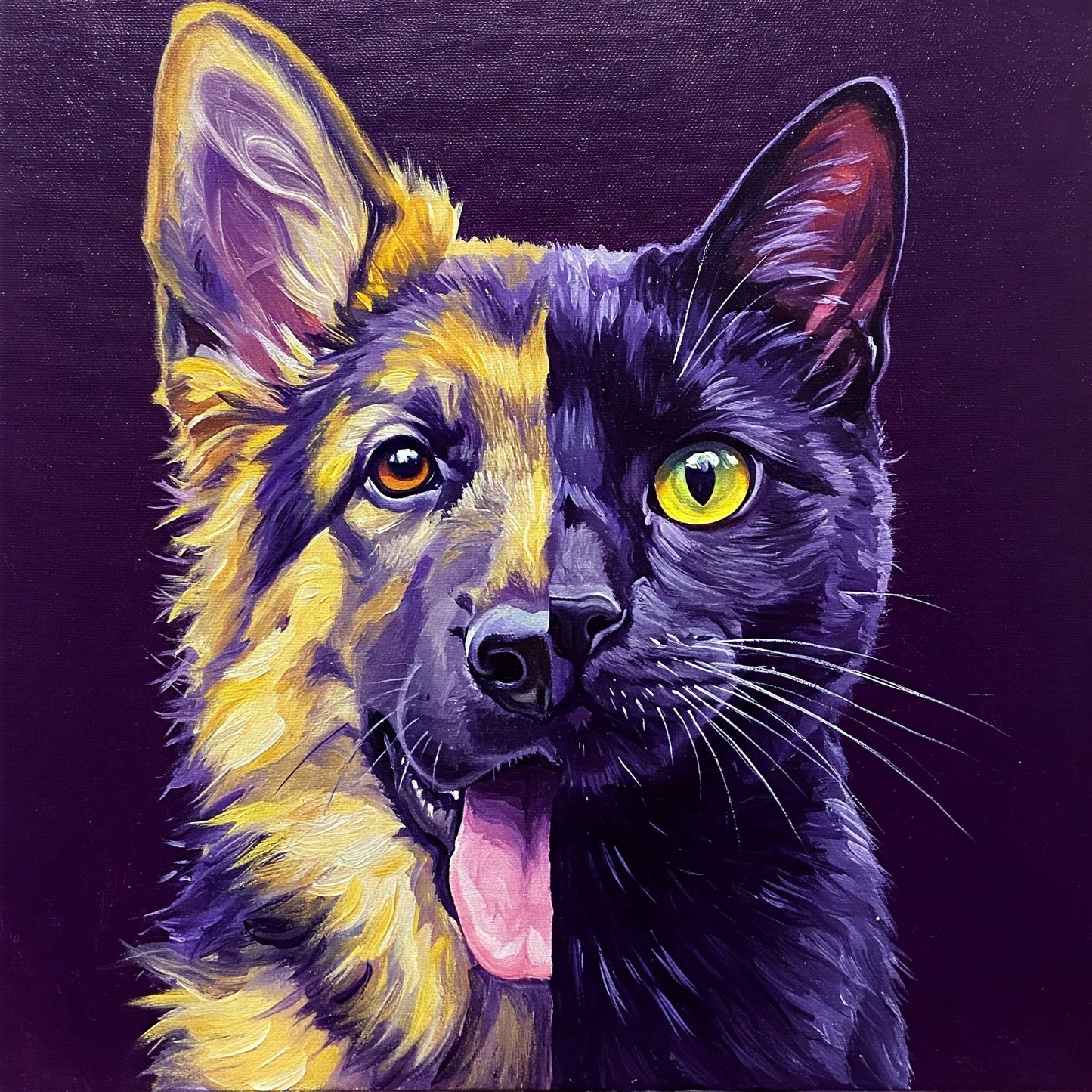 Dog and Cat Collection of 100