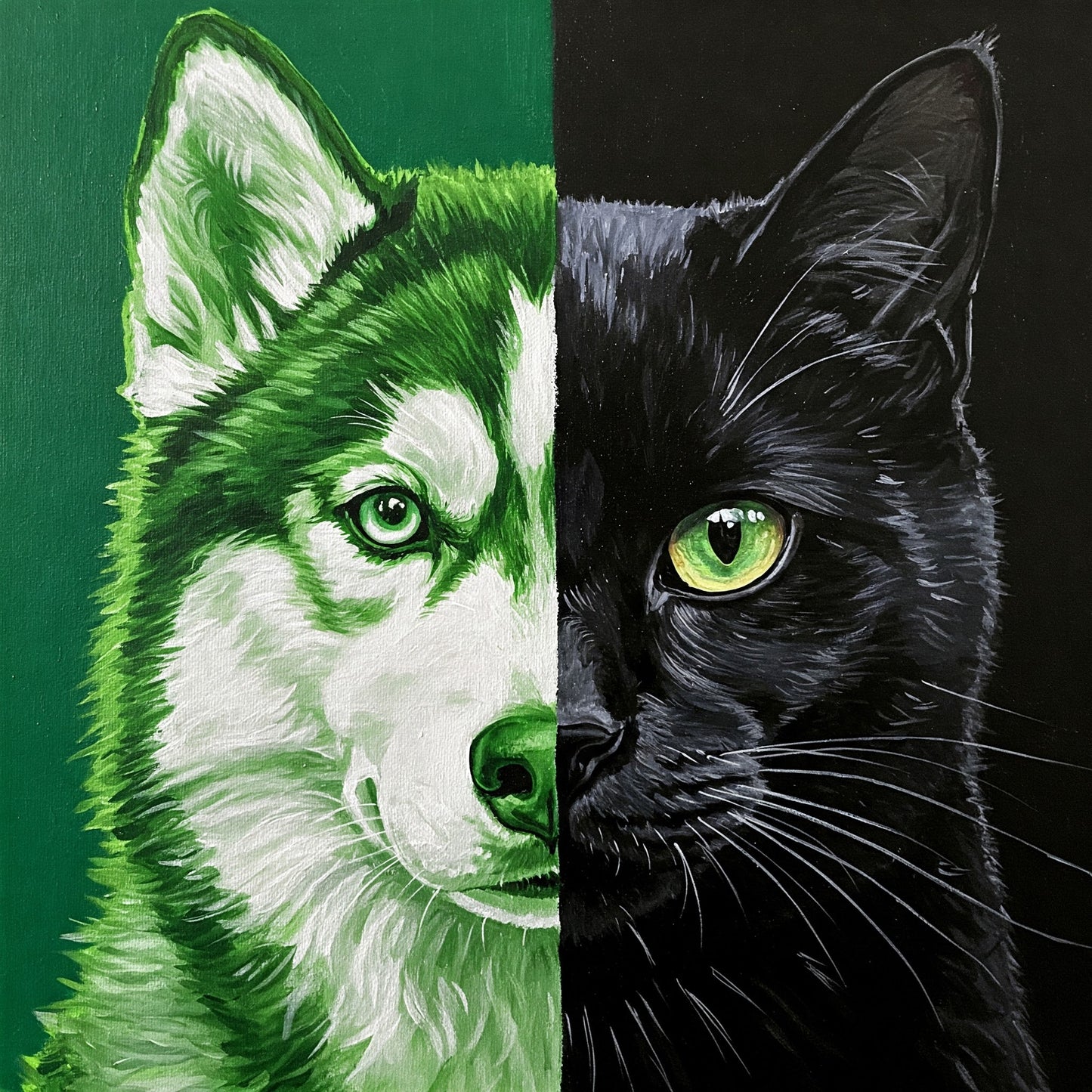Dog and Cat Collection of 100