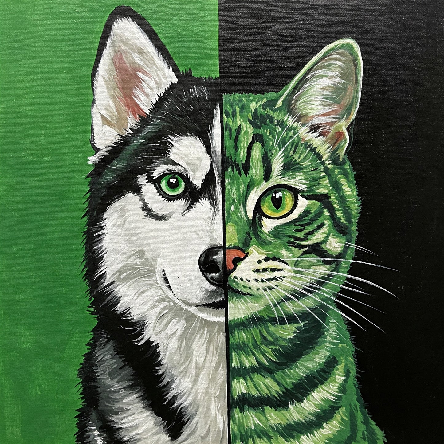 Dog and Cat Collection of 100