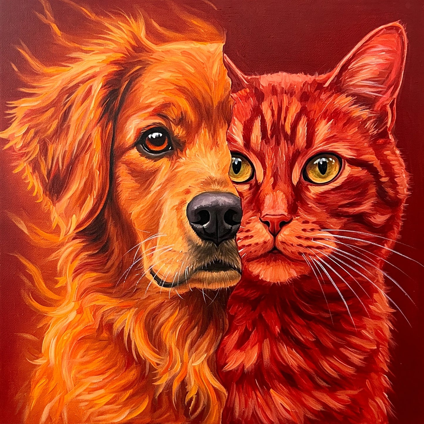 Dog and Cat Collection of 100