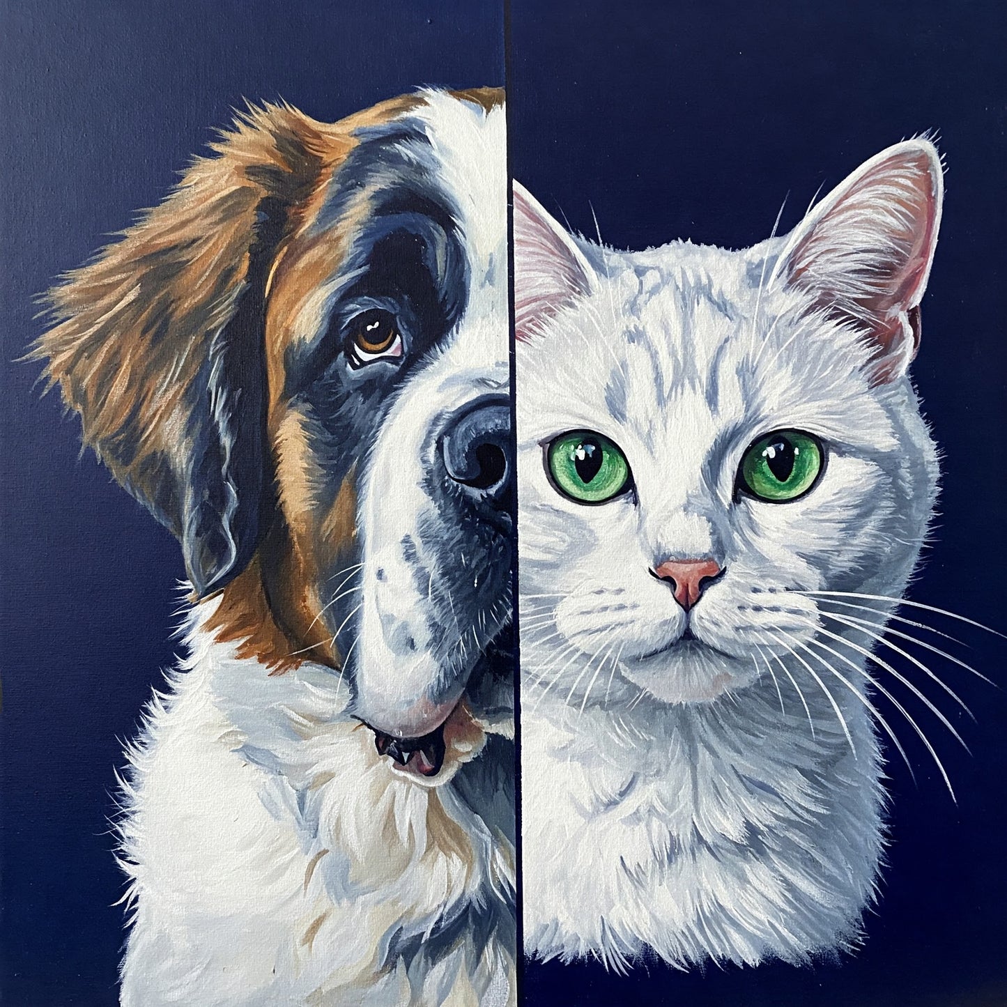 Dog and Cat Collection of 100