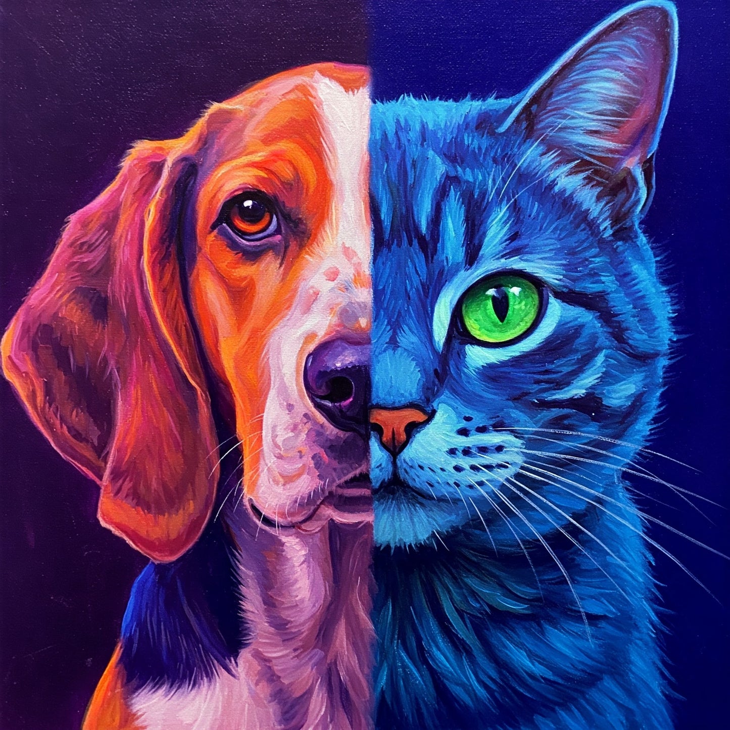 Dog and Cat Collection of 100