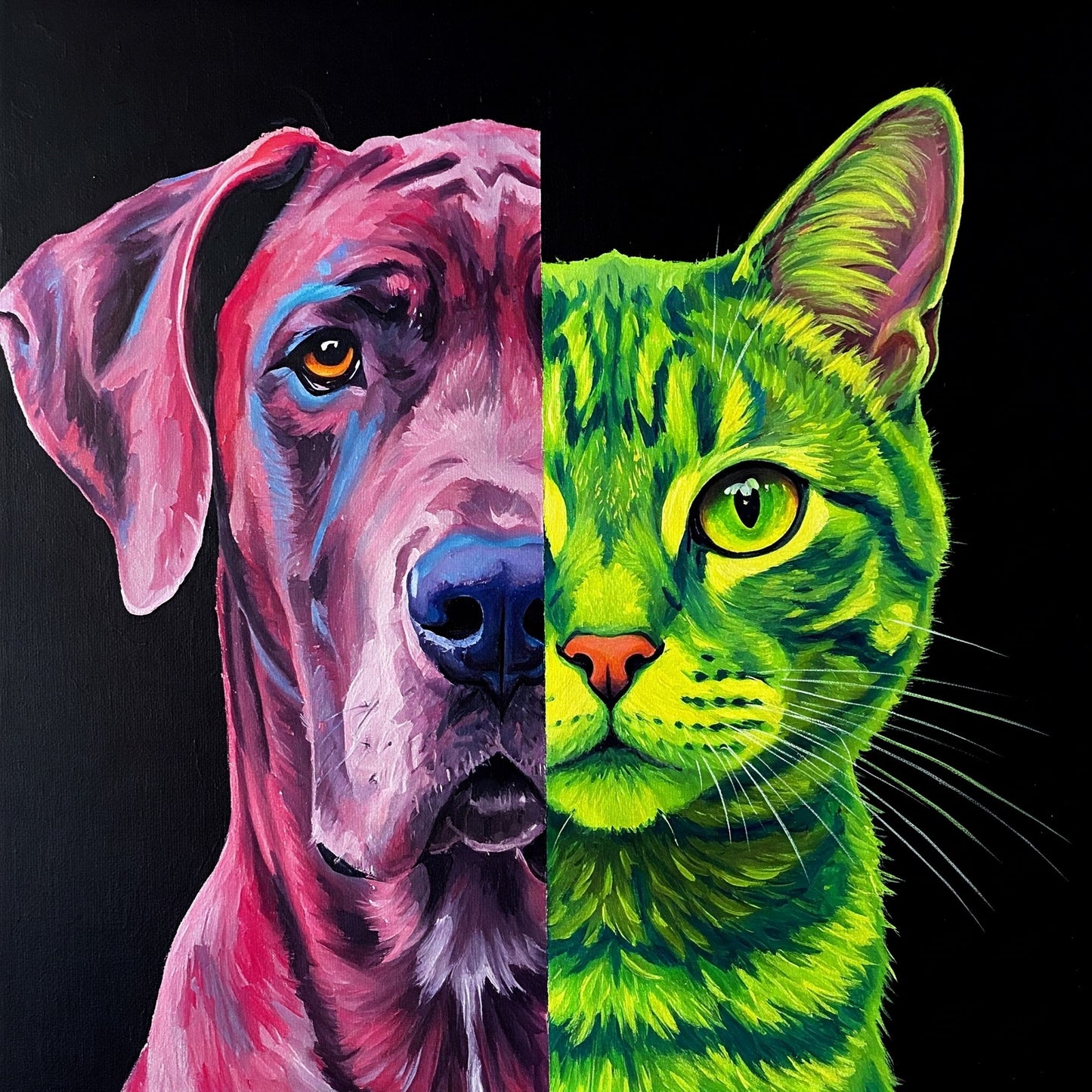 Dog and Cat Collection of 100