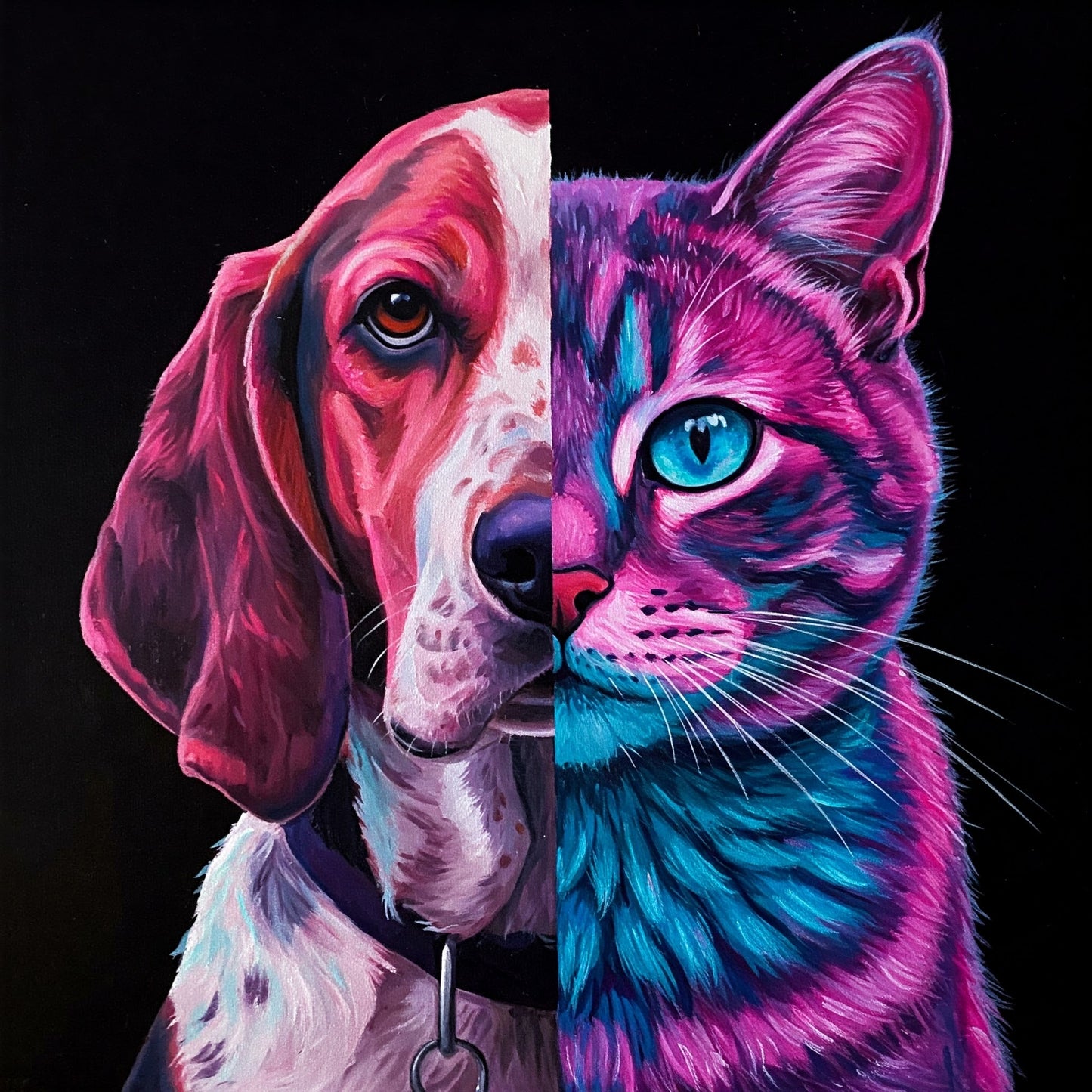 Dog and Cat Collection of 100
