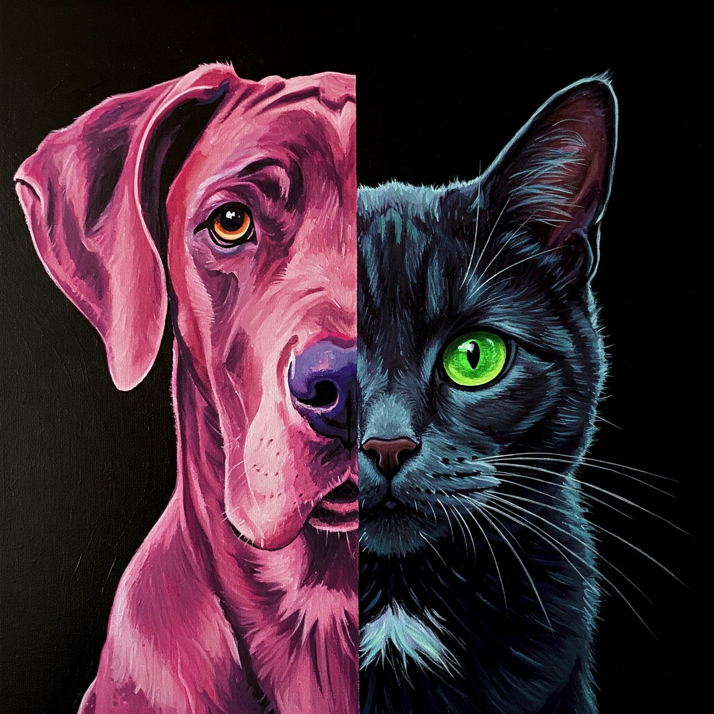 Dog and Cat Collection of 100