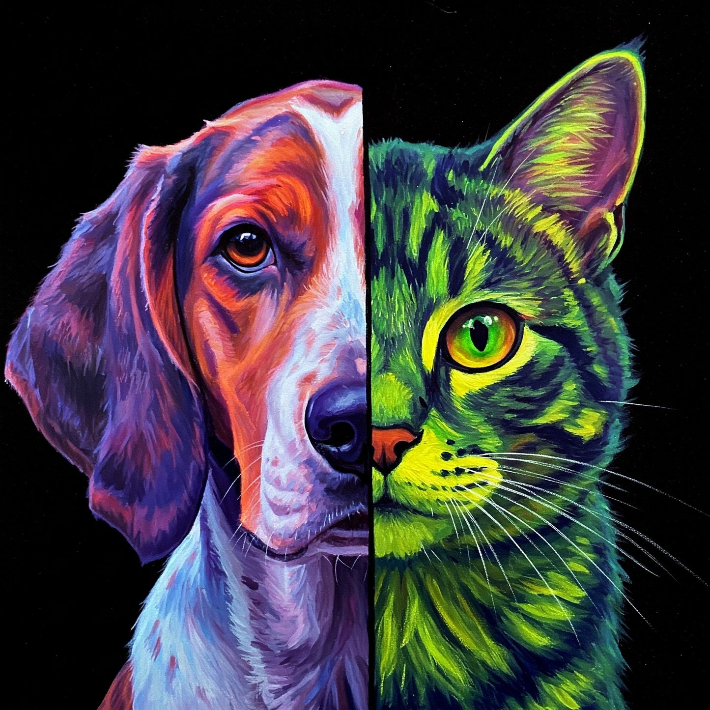 Dog and Cat Collection of 100