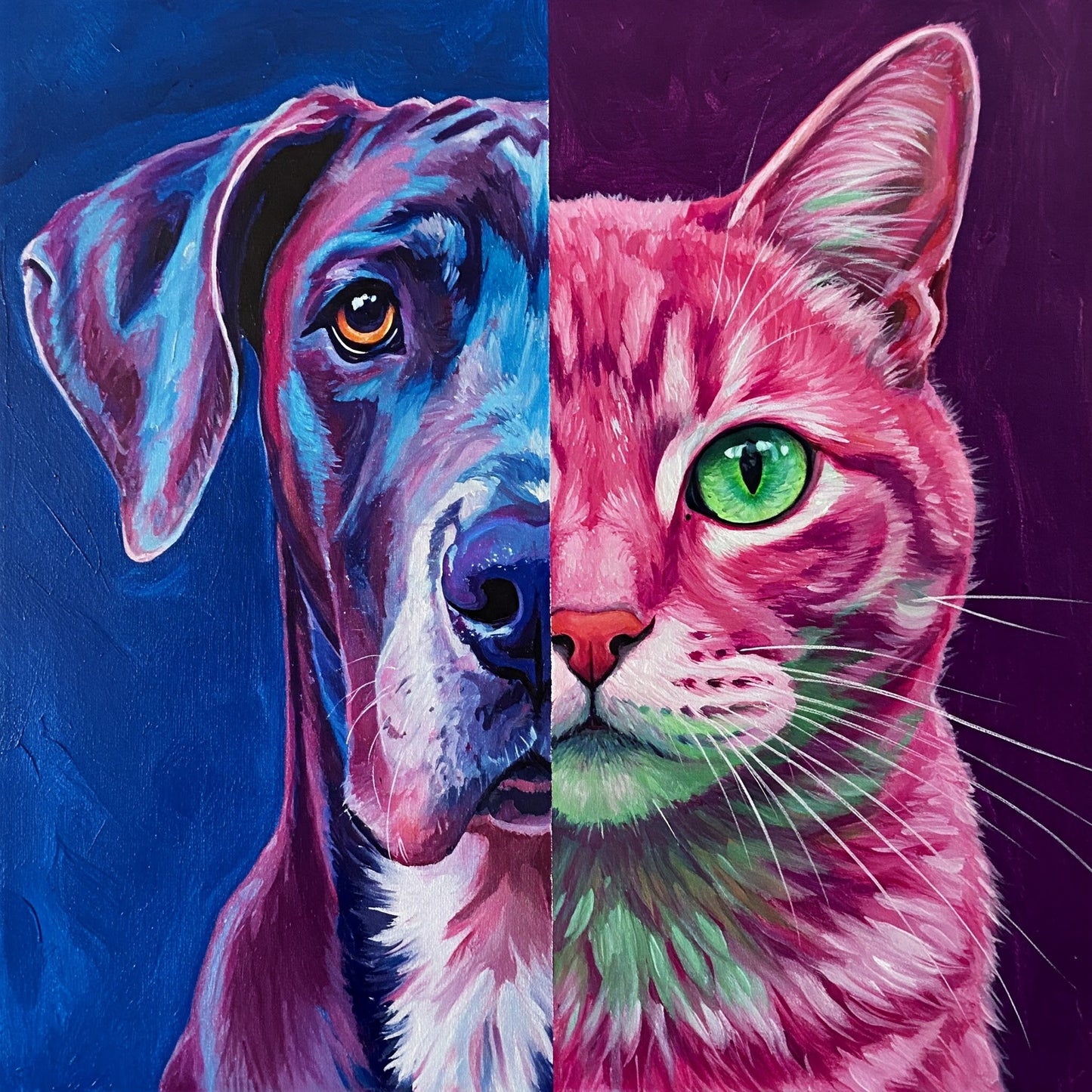 Dog and Cat Collection of 100