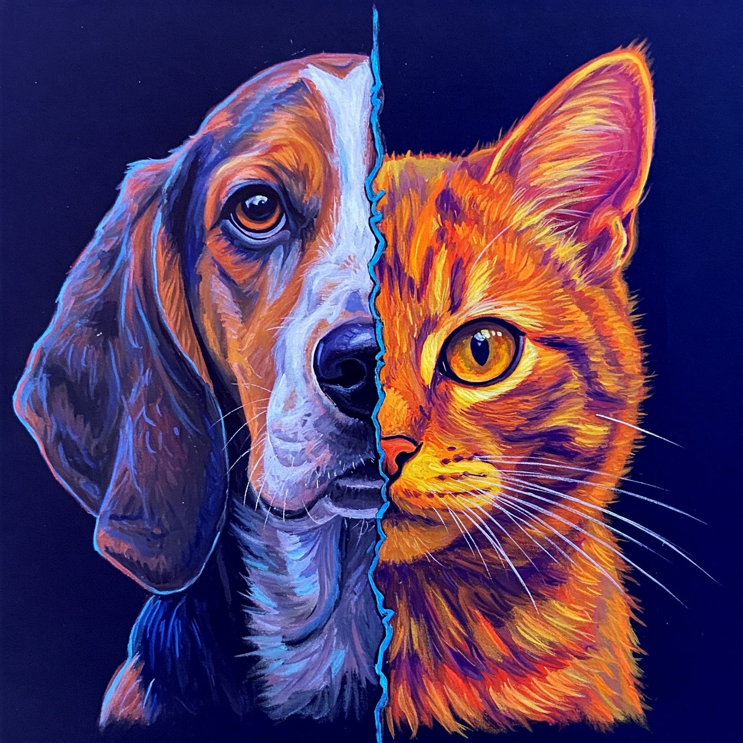 Dog and Cat Collection of 100