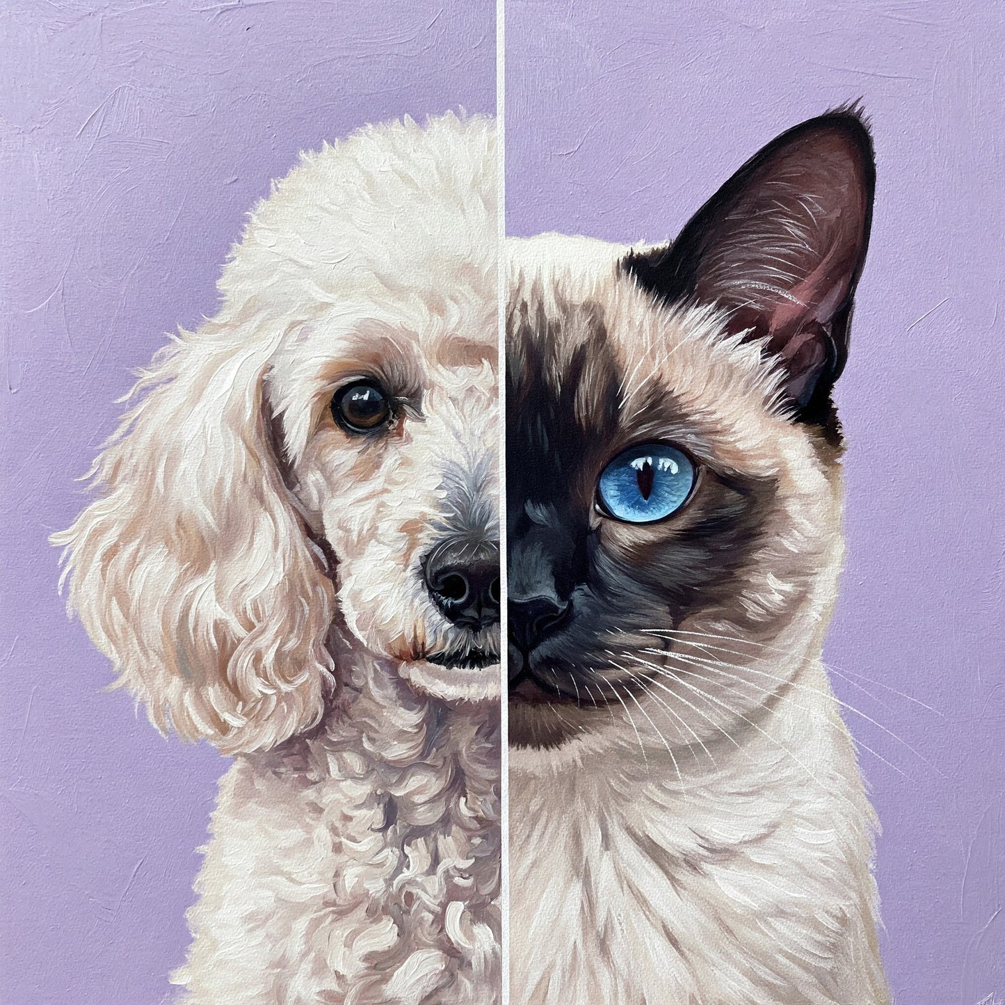 Dog and Cat Collection of 100
