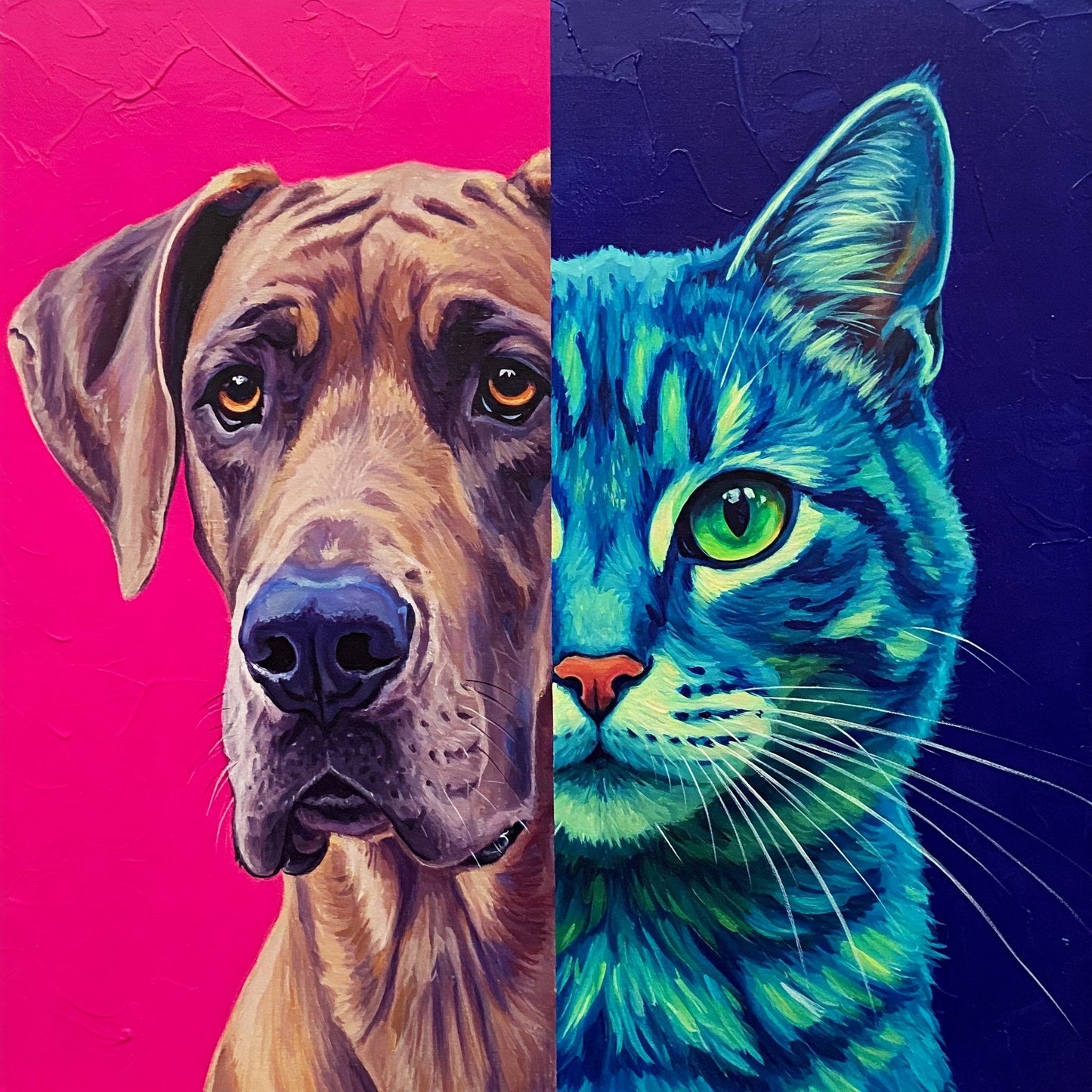 Dog and Cat Collection of 100