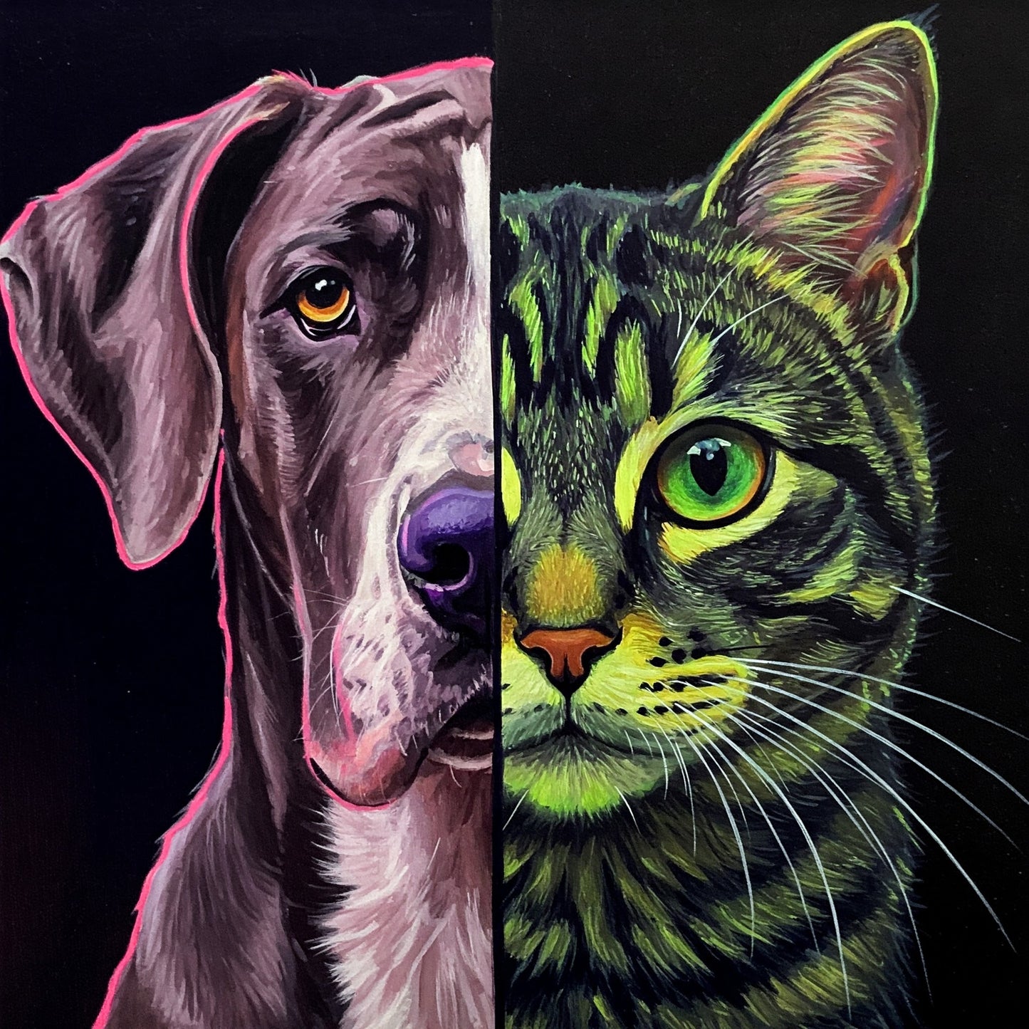 Dog and Cat Collection of 100
