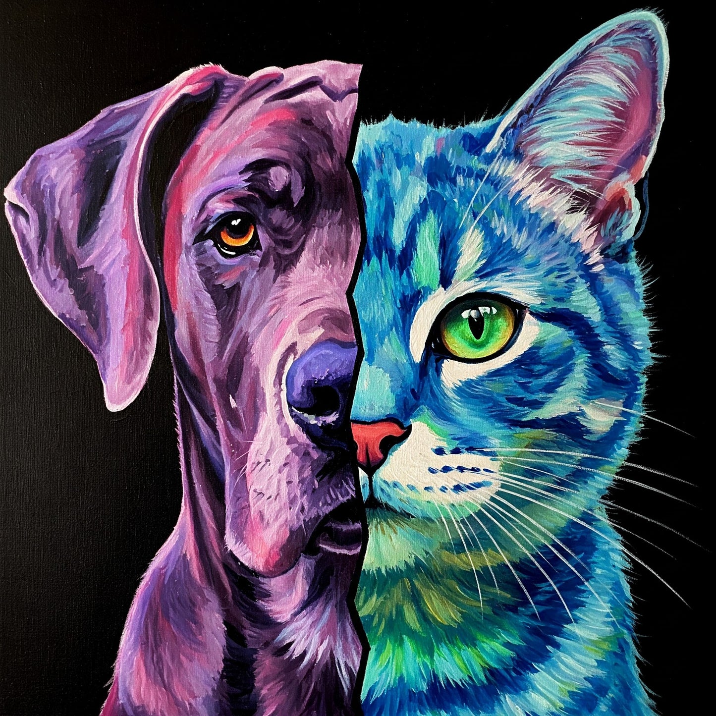 Dog and Cat Collection of 100