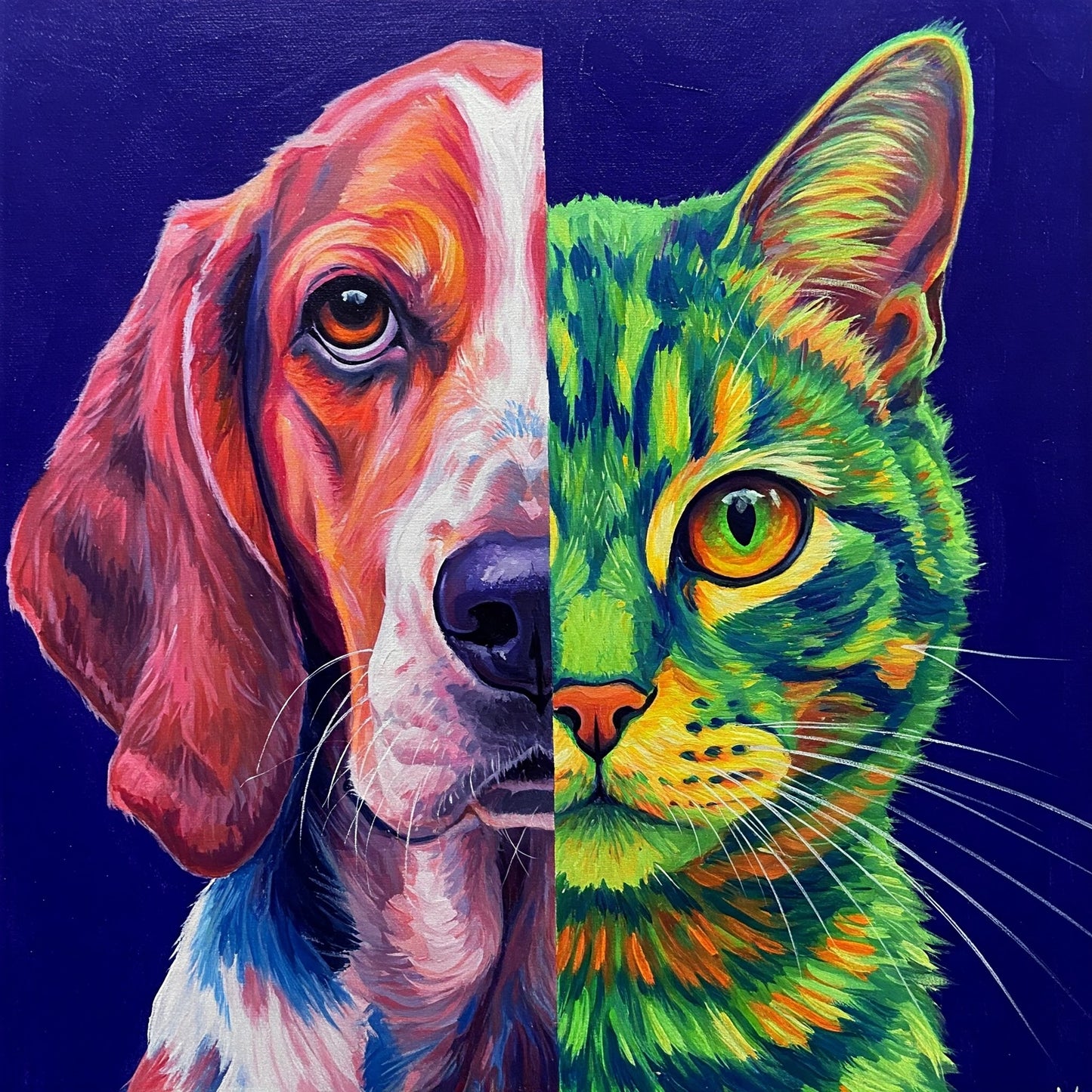 Dog and Cat Collection of 100