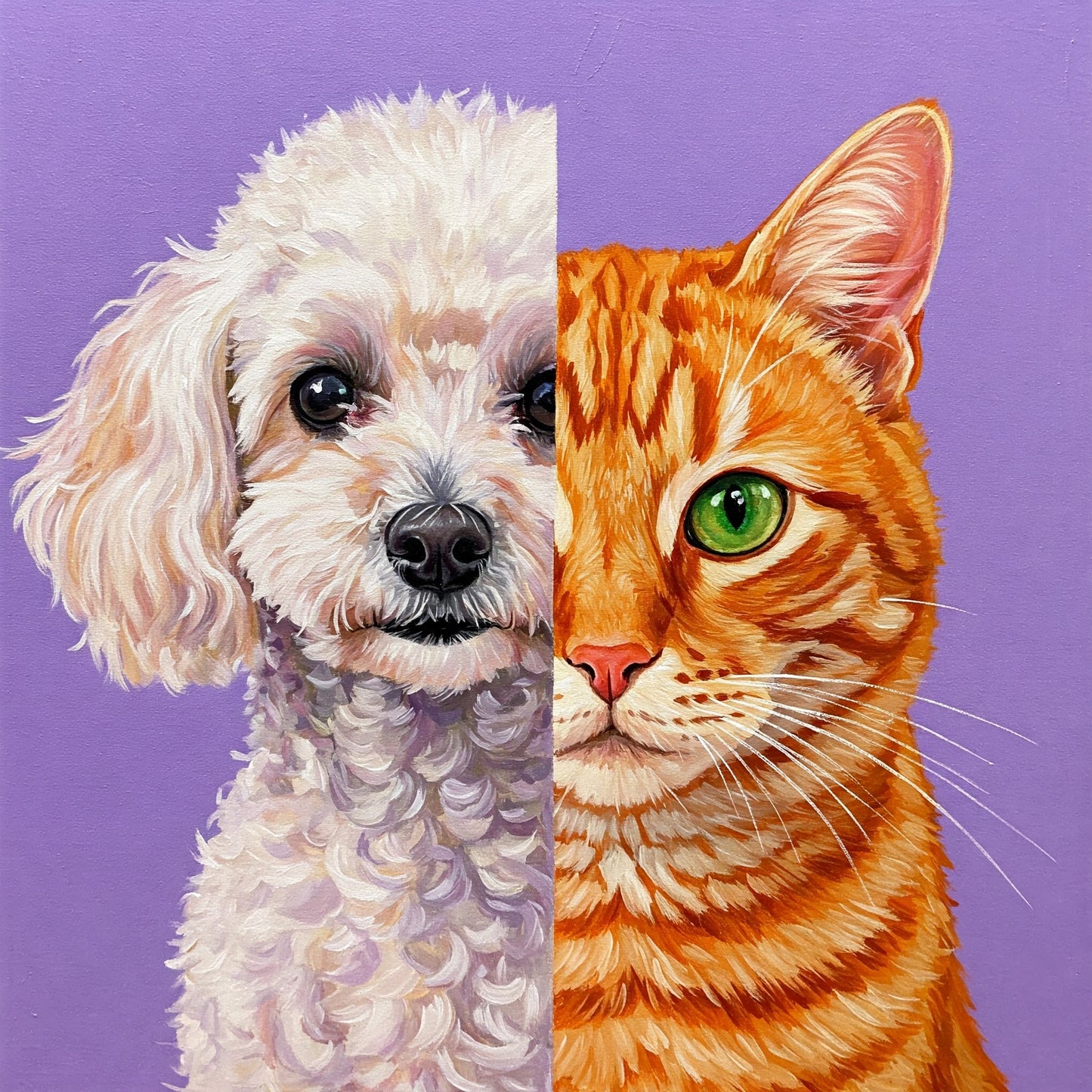 Dog and Cat Collection of 100