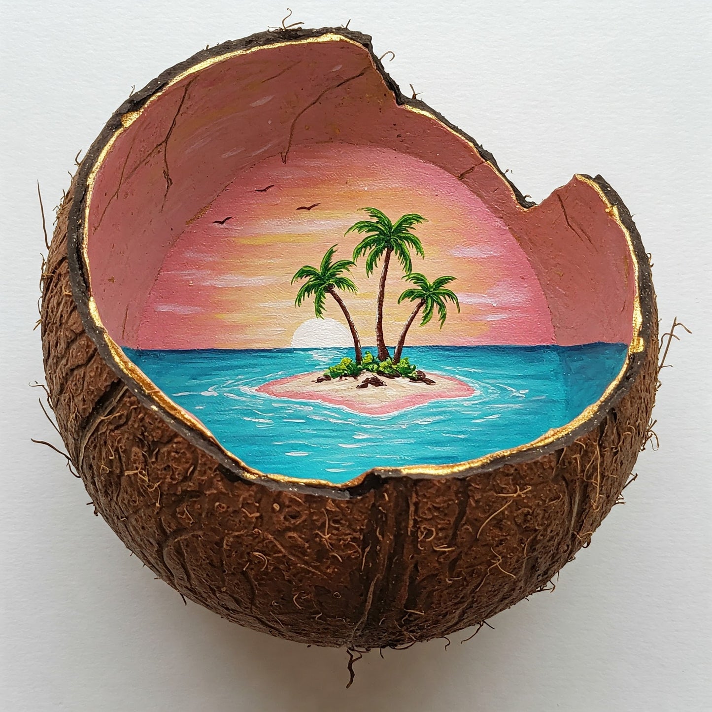 Coconut Paradise Collection of 100