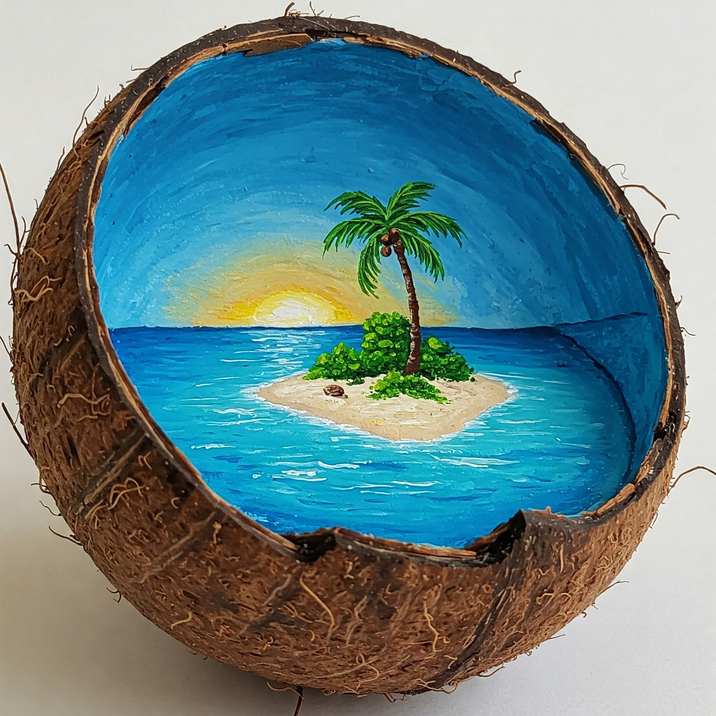 Coconut Paradise Collection of 100
