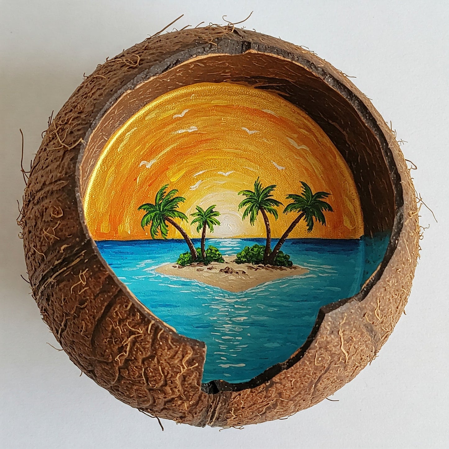 Coconut Paradise Collection of 100
