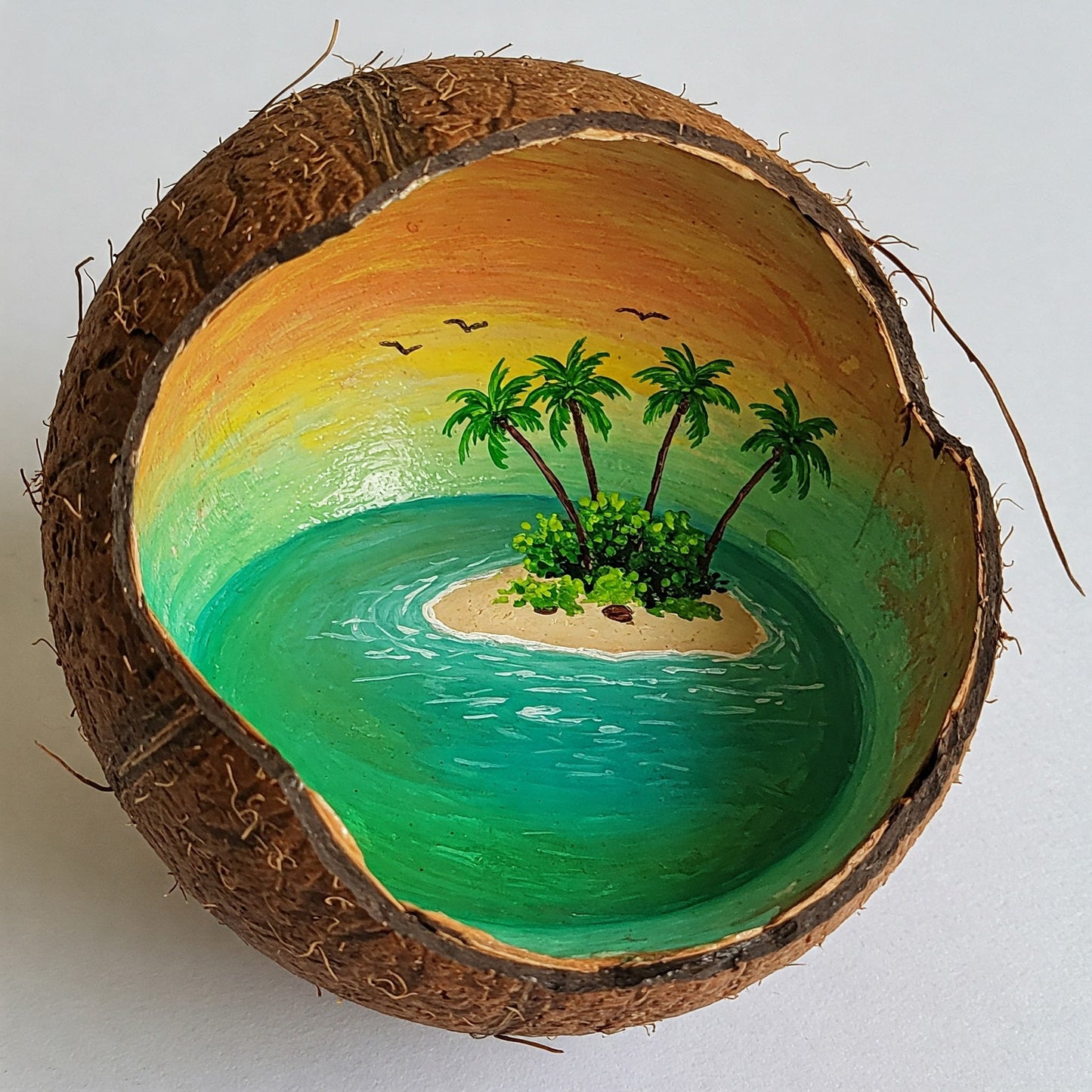 Coconut Paradise Collection of 100