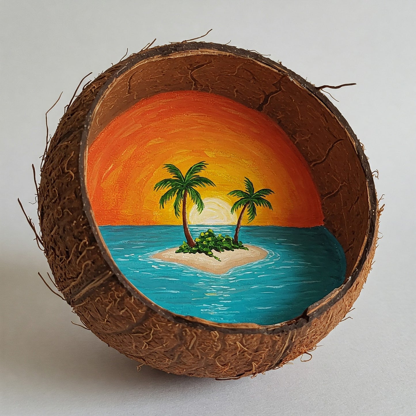 Coconut Paradise Collection of 100